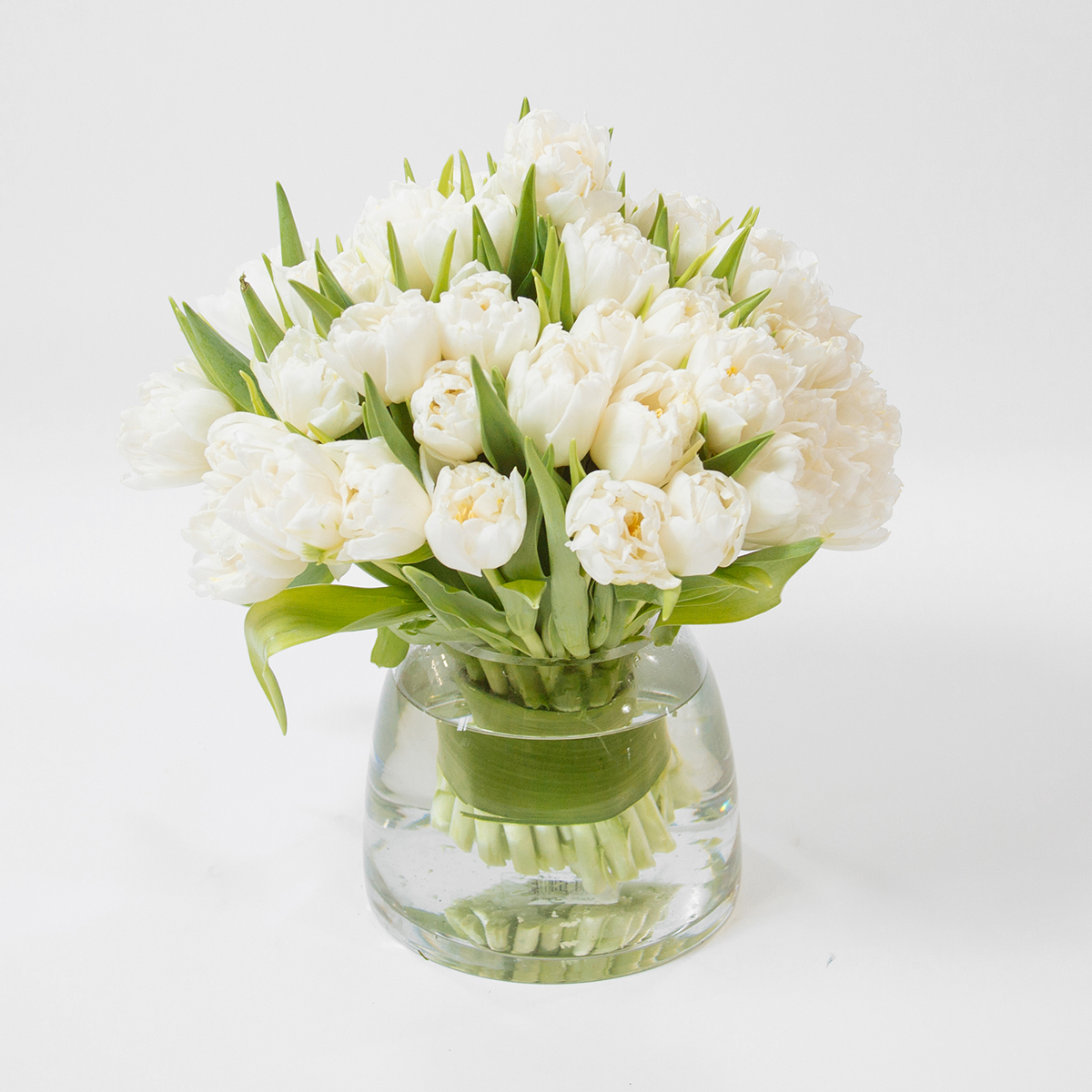 White Innocence original