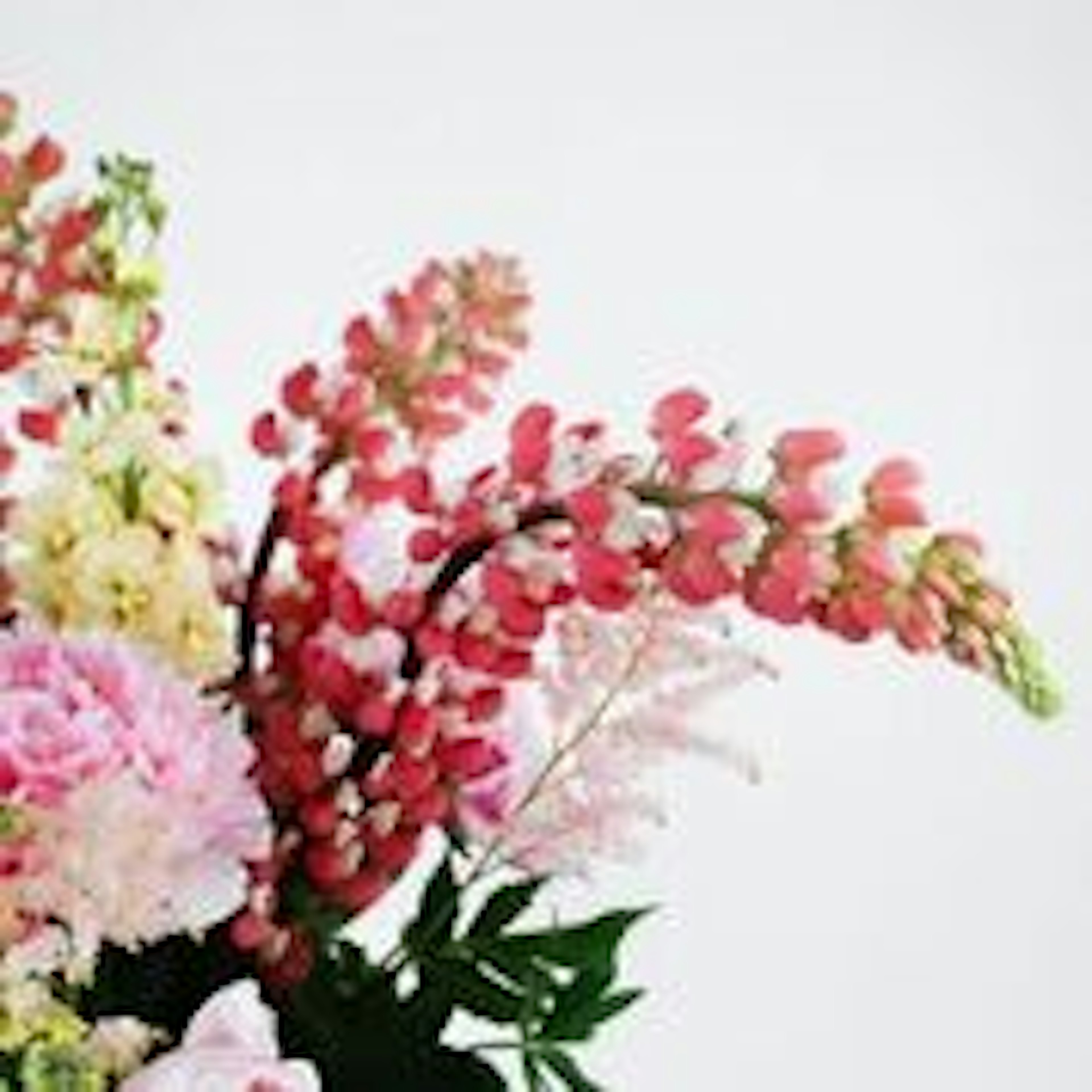 Summer Breeze original