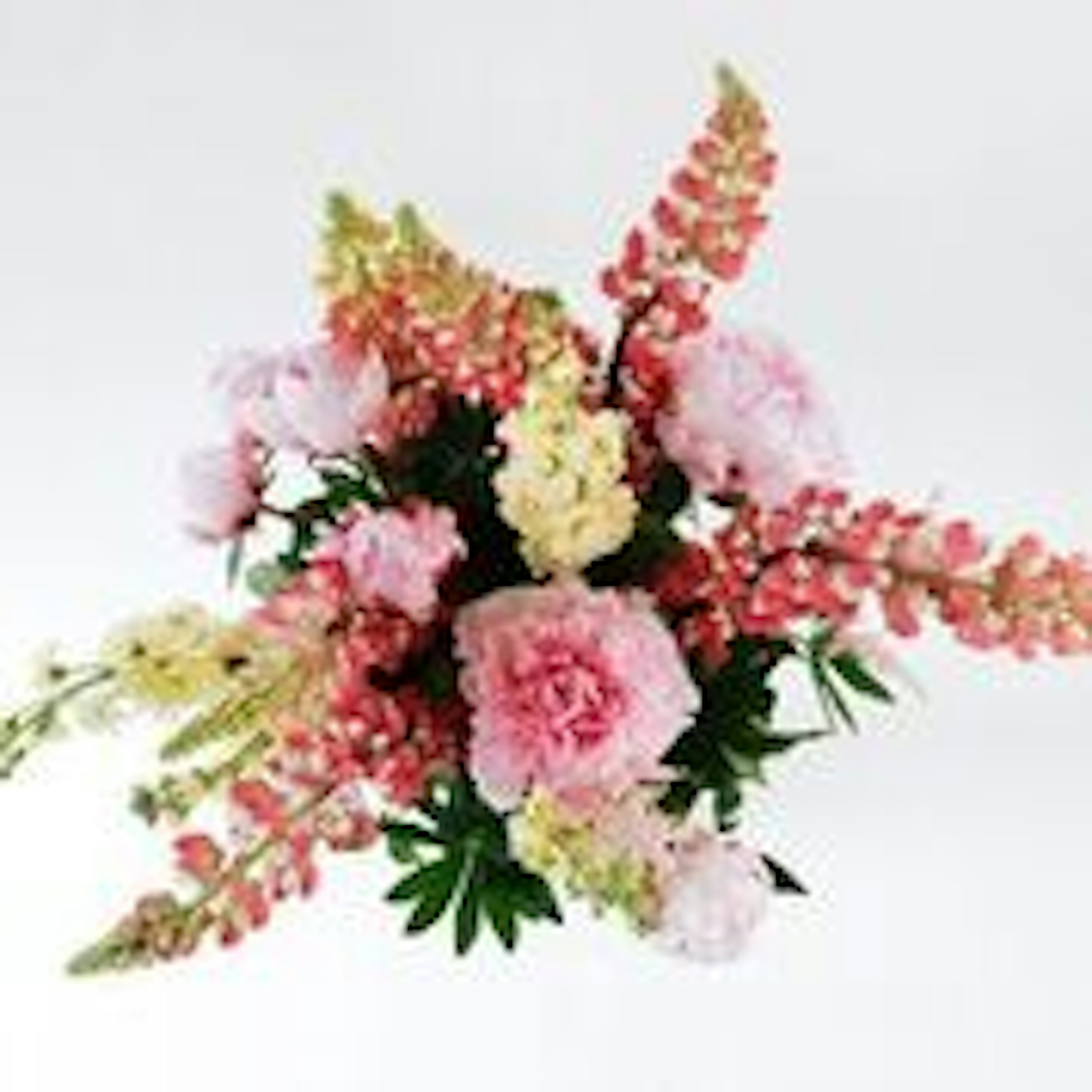 Summer Breeze original