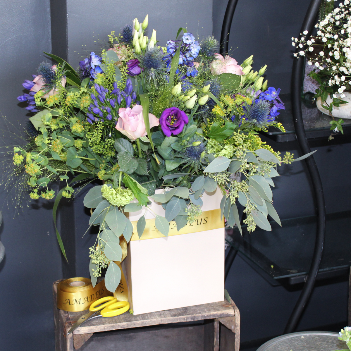 Counting stars original