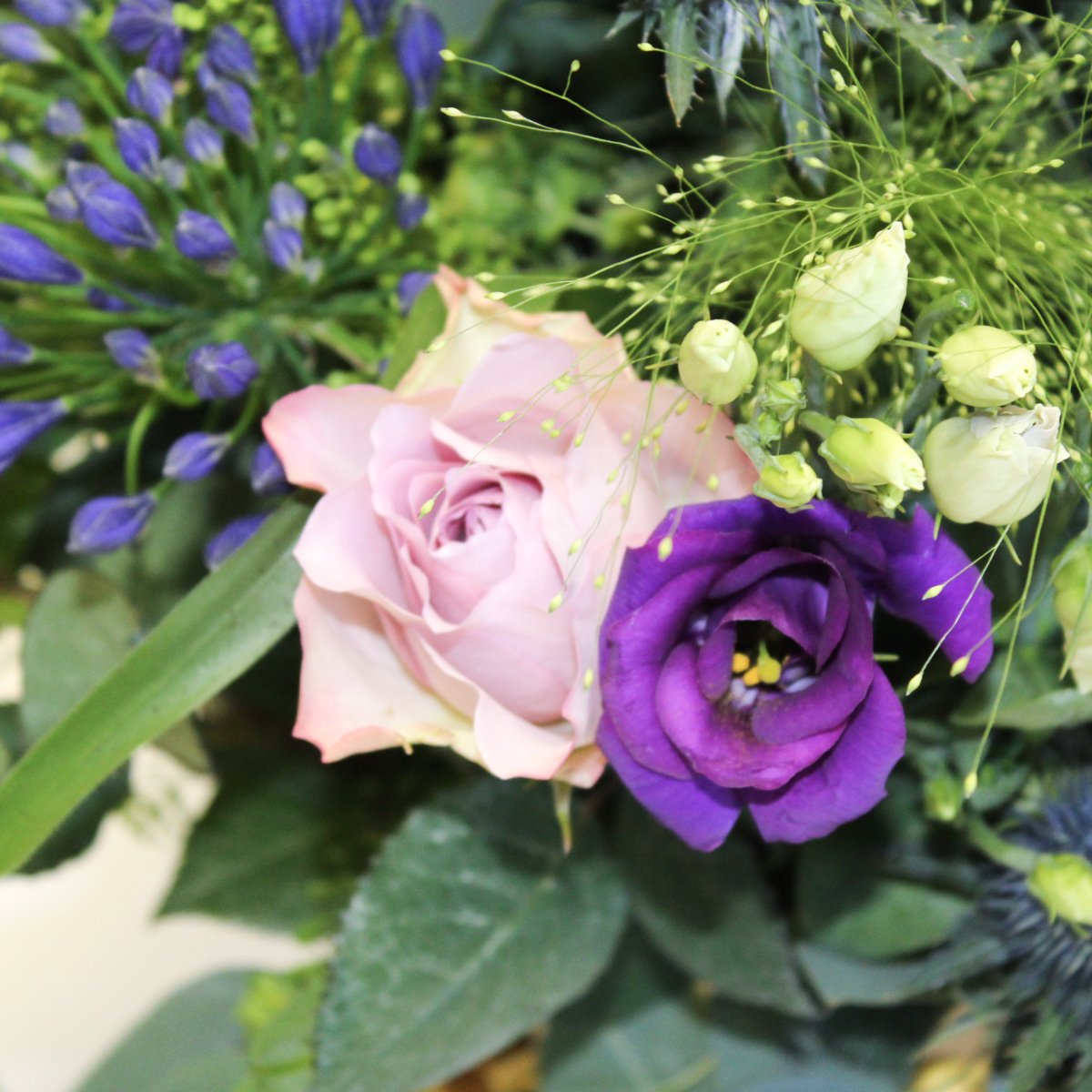 Counting stars original