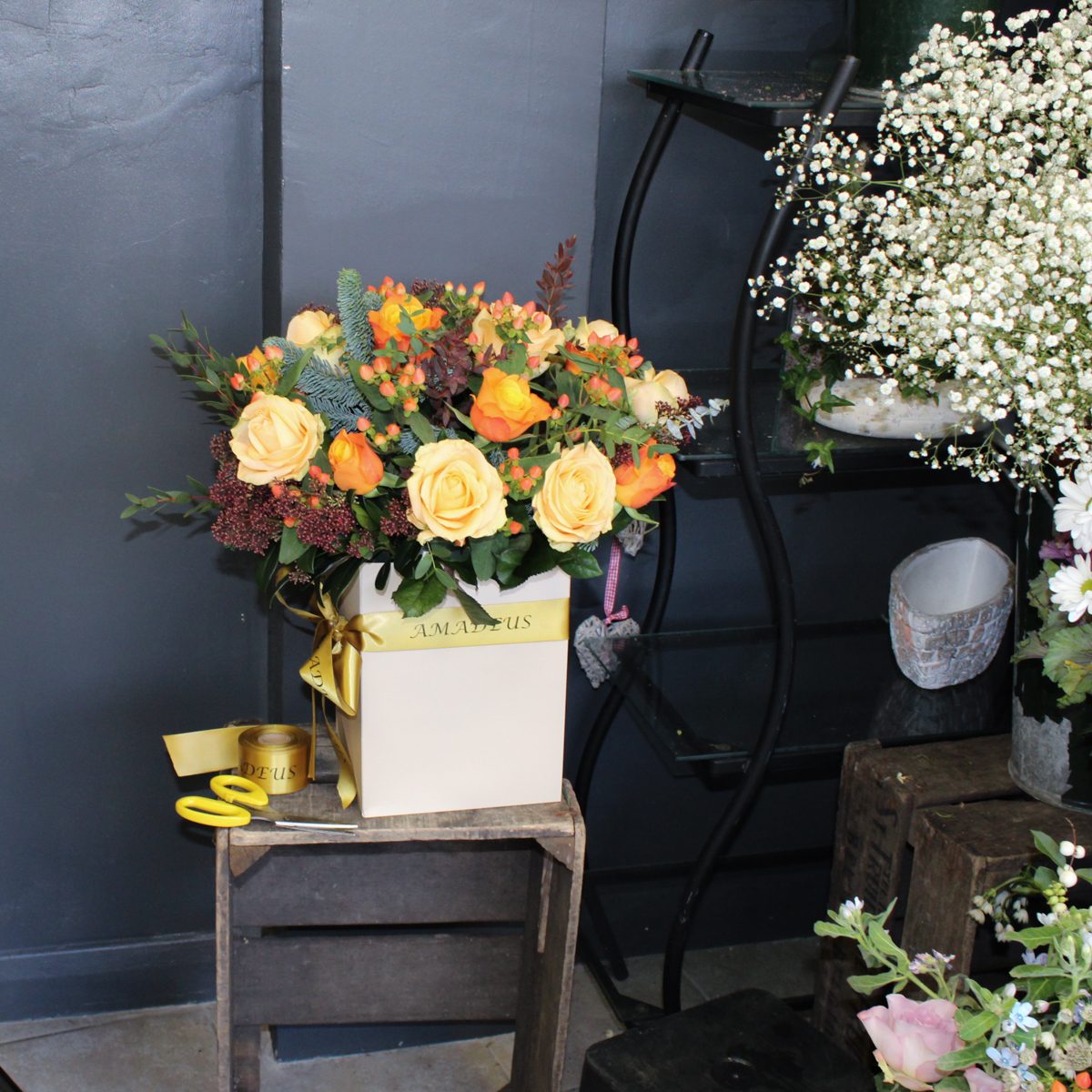 Step into Christmas original