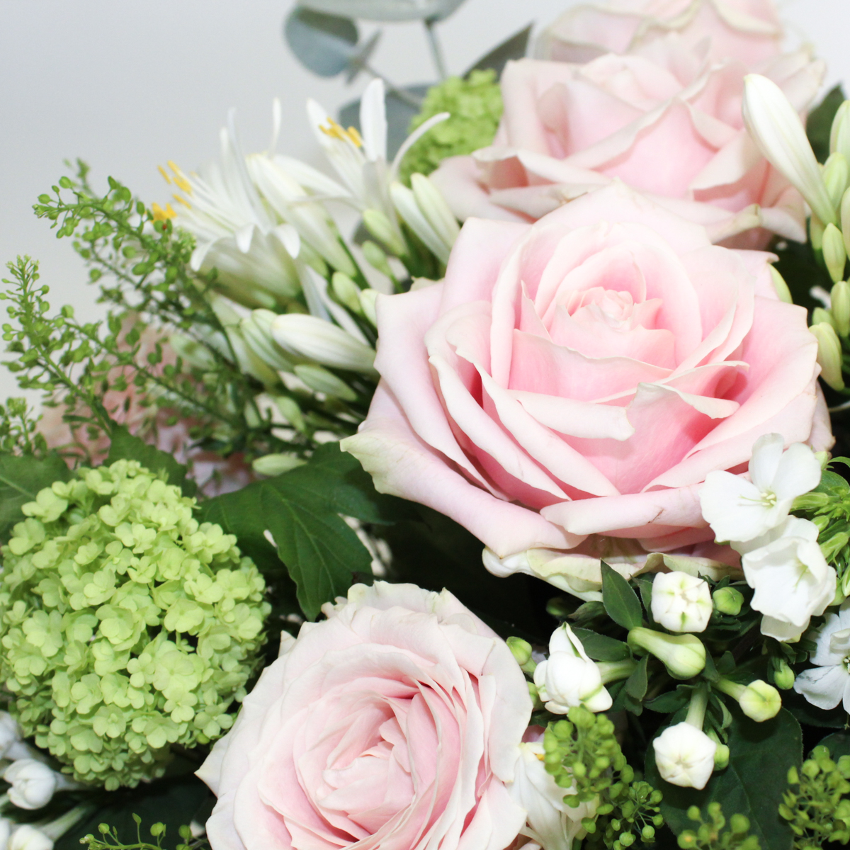 Still the one original