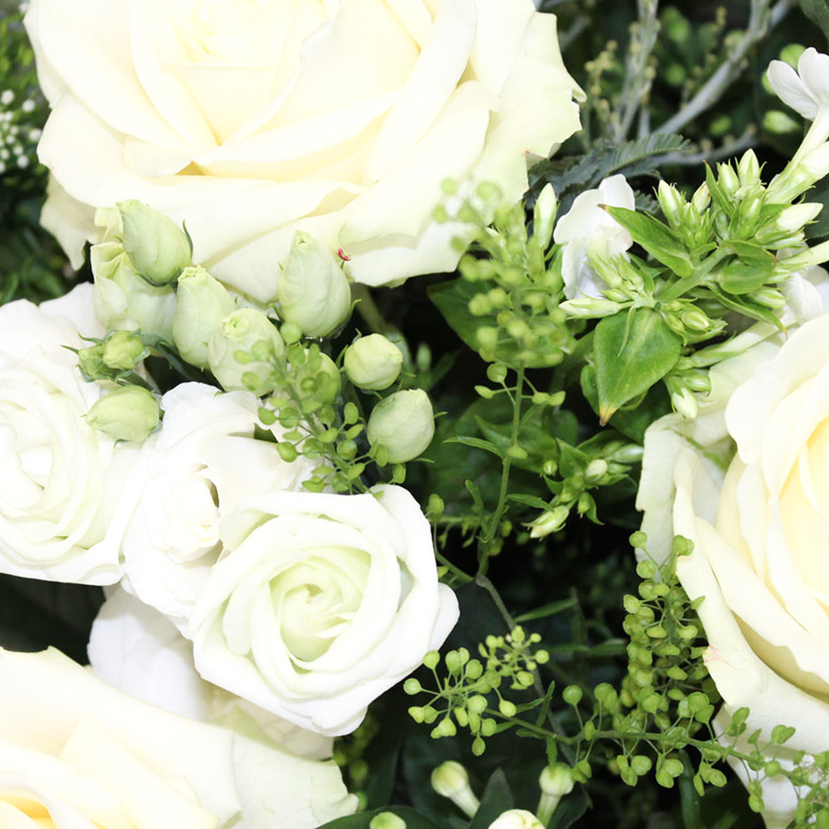 Let it snow original