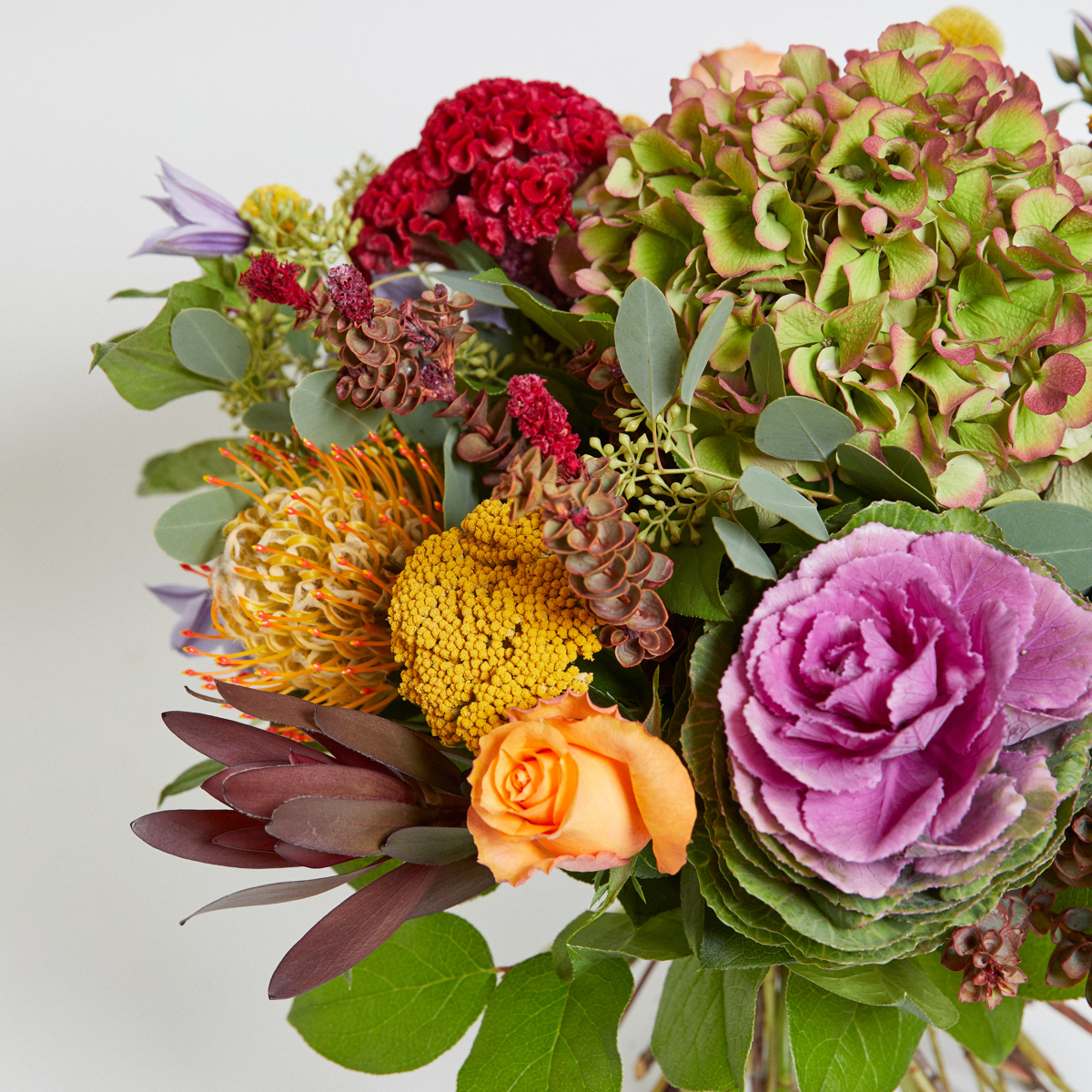 Riot of colour original