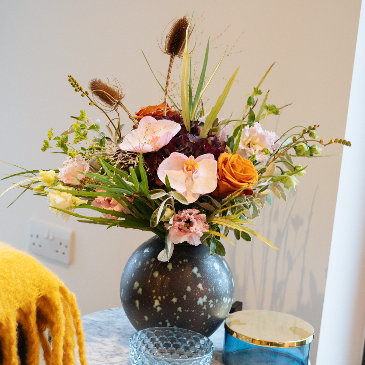 Strip Teasel original