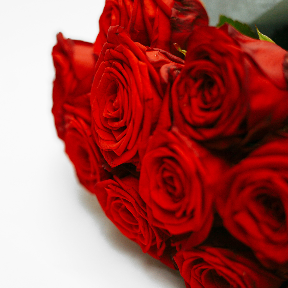 A Dozen Red original