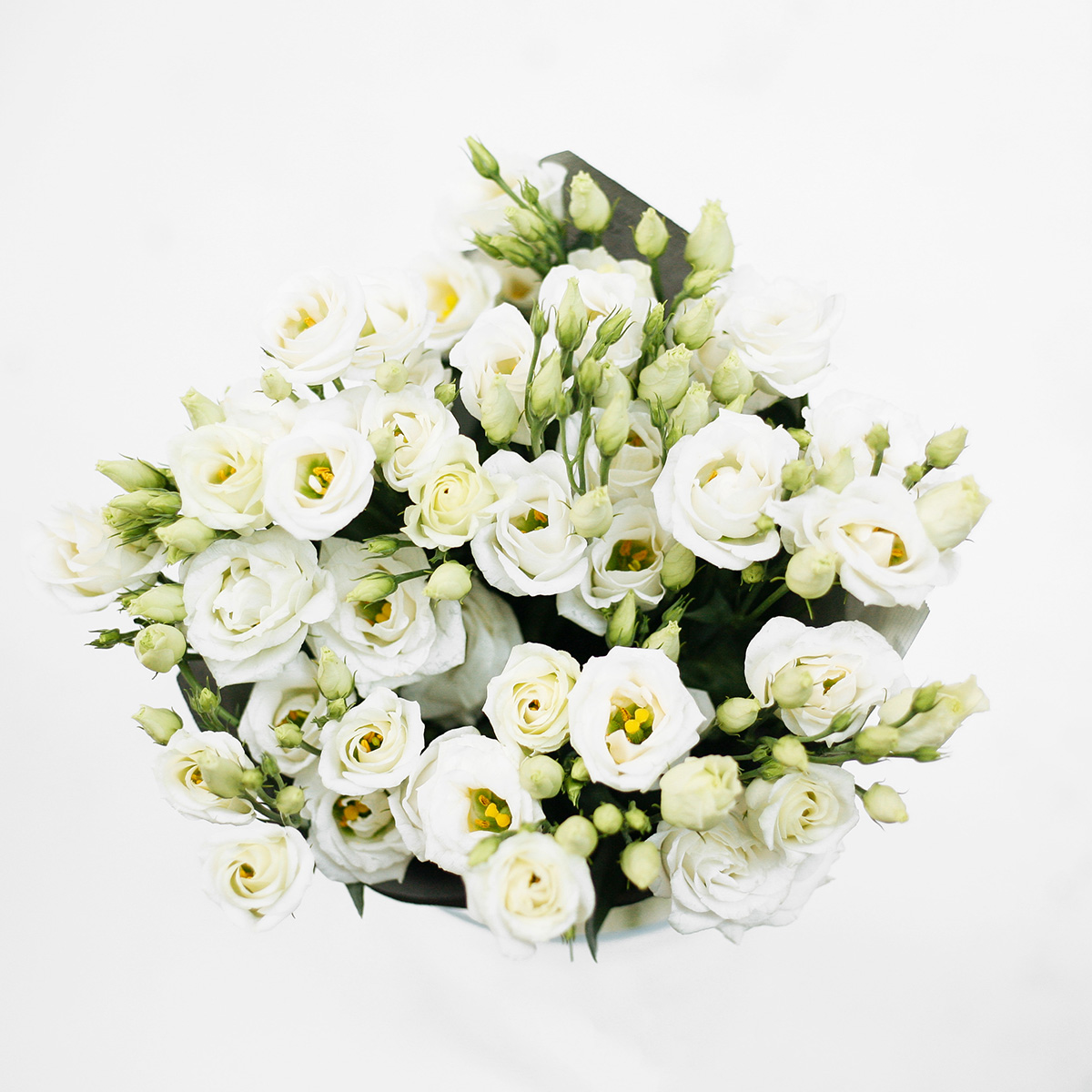 White Lisianthus