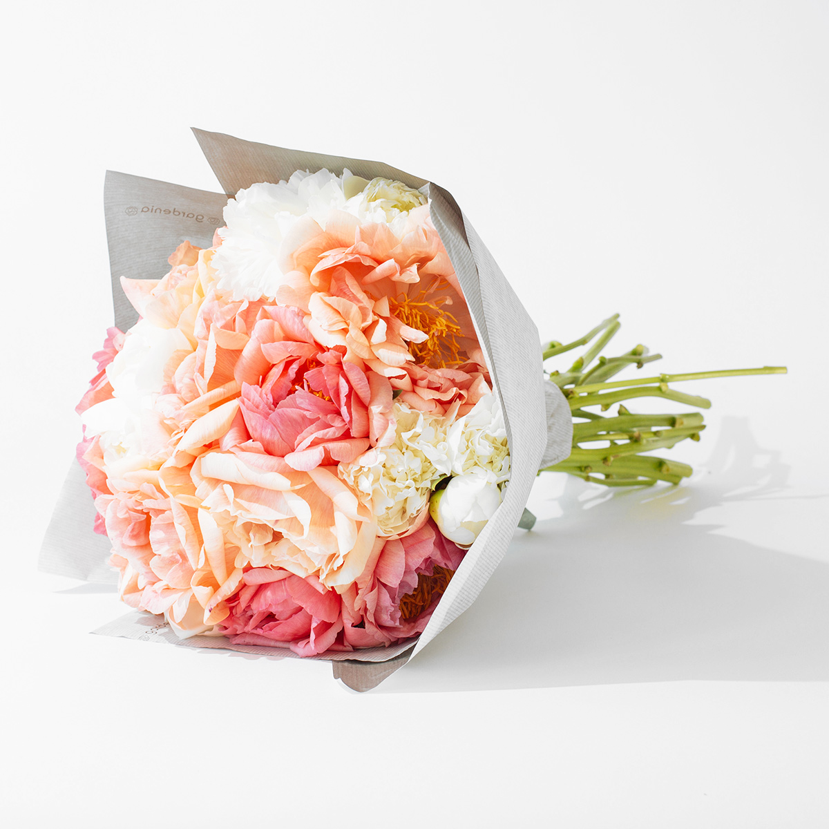 White & Coral Peonies original