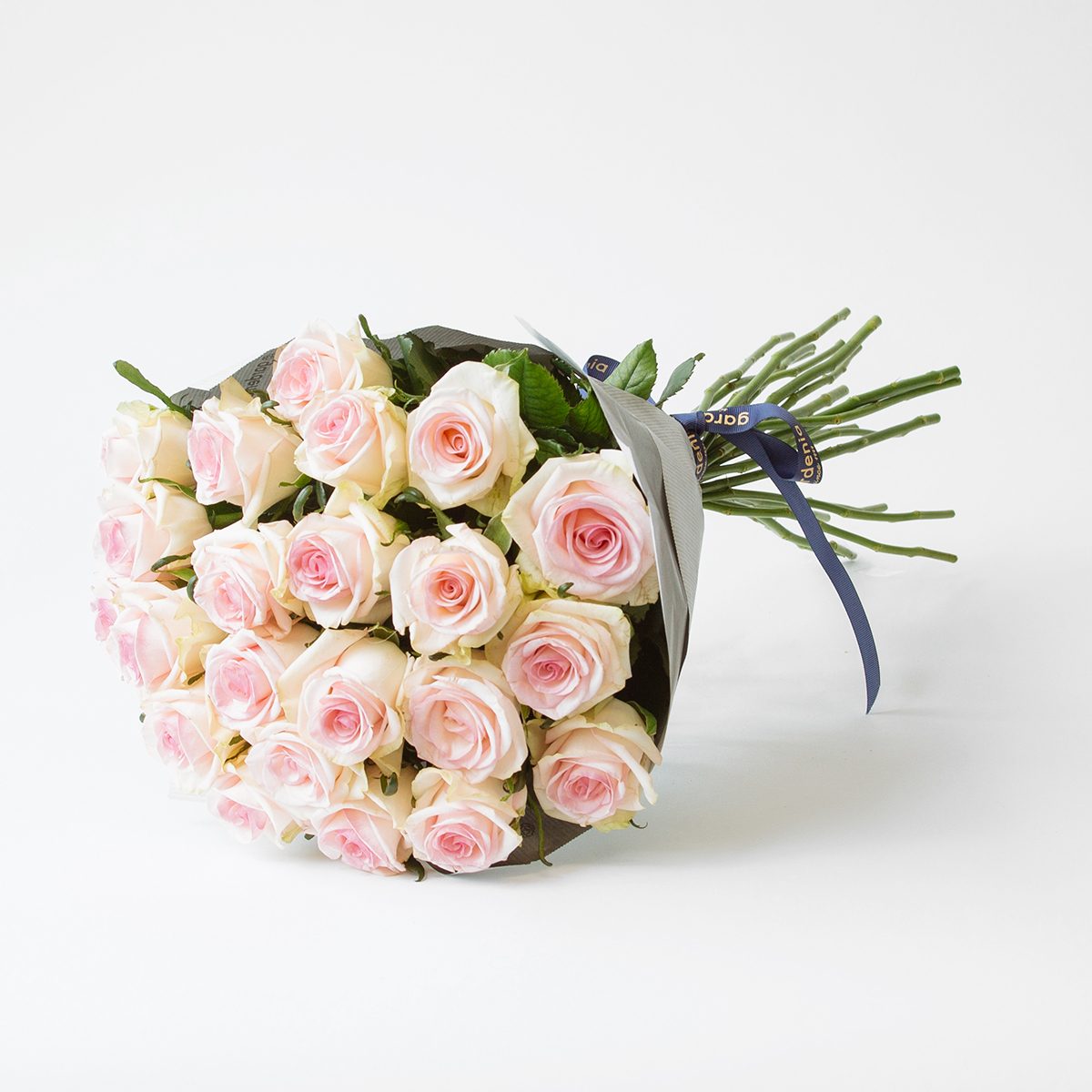 20 Light Pink Rose
