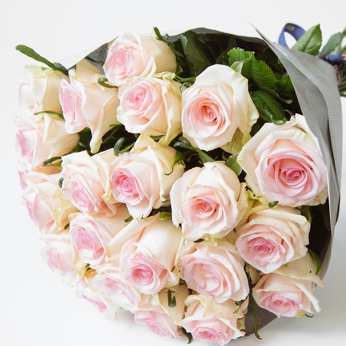 Light Pink Rose original