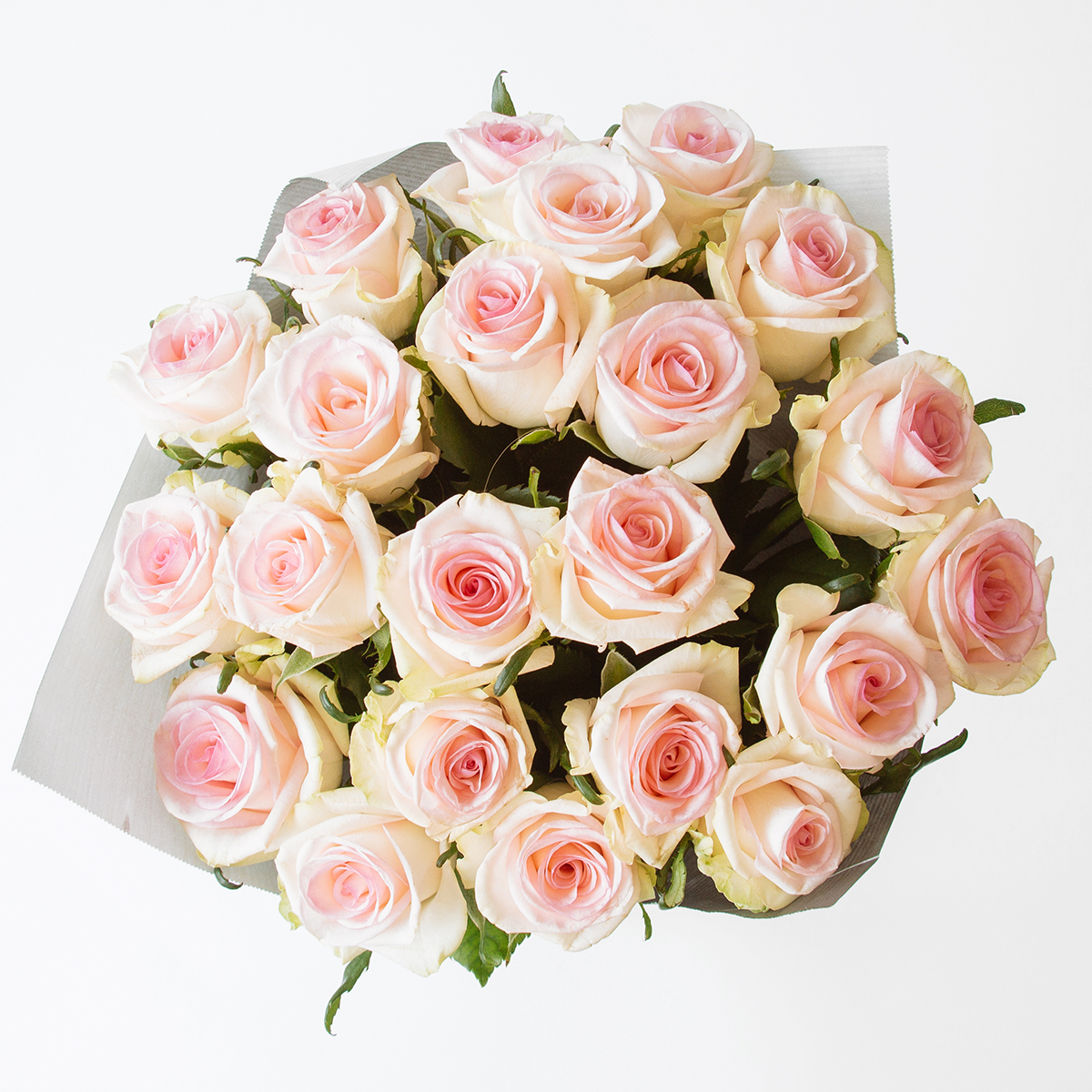Light Pink Rose original