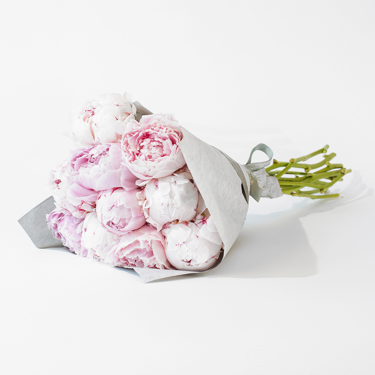 Blush Peonies original