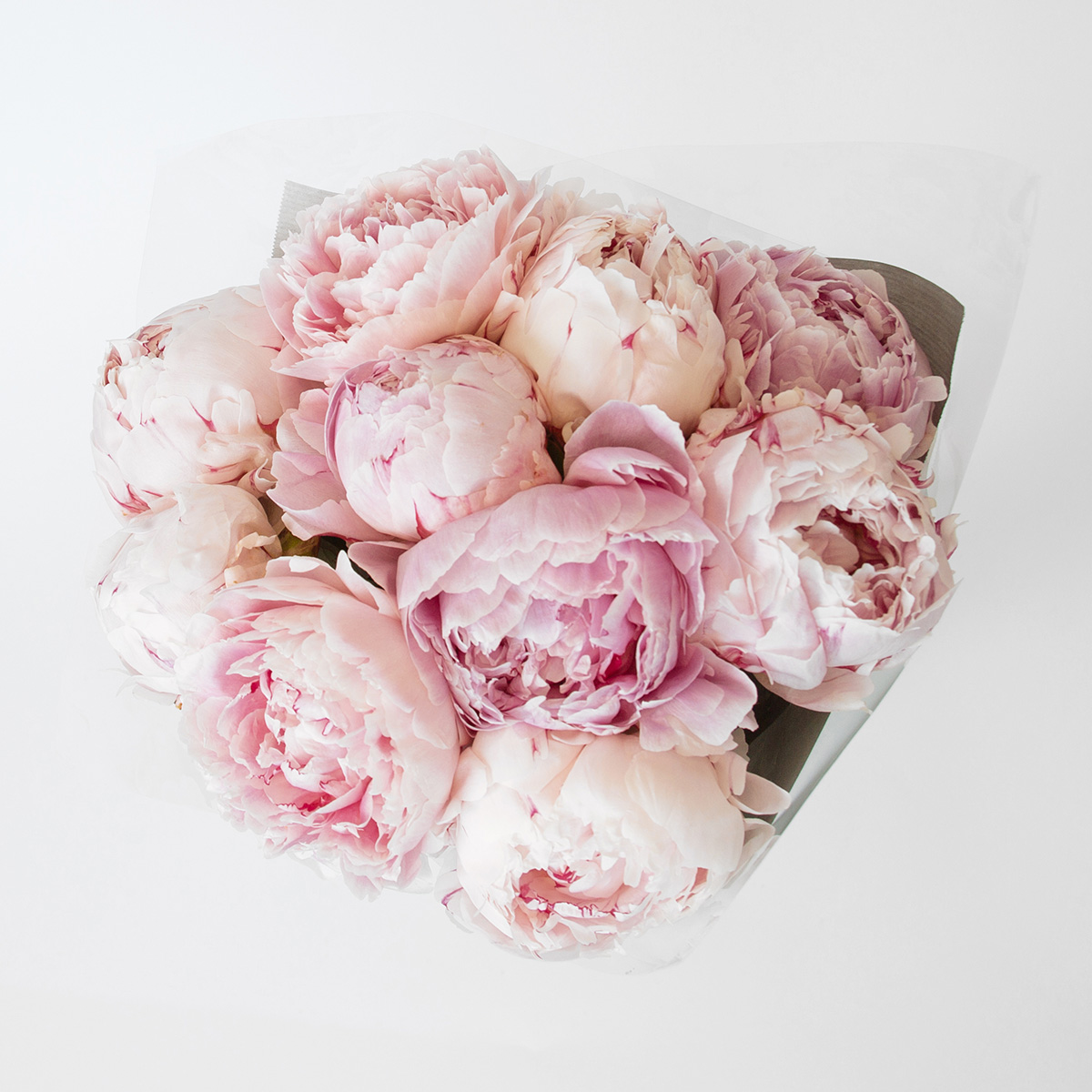 Blush Peonies original