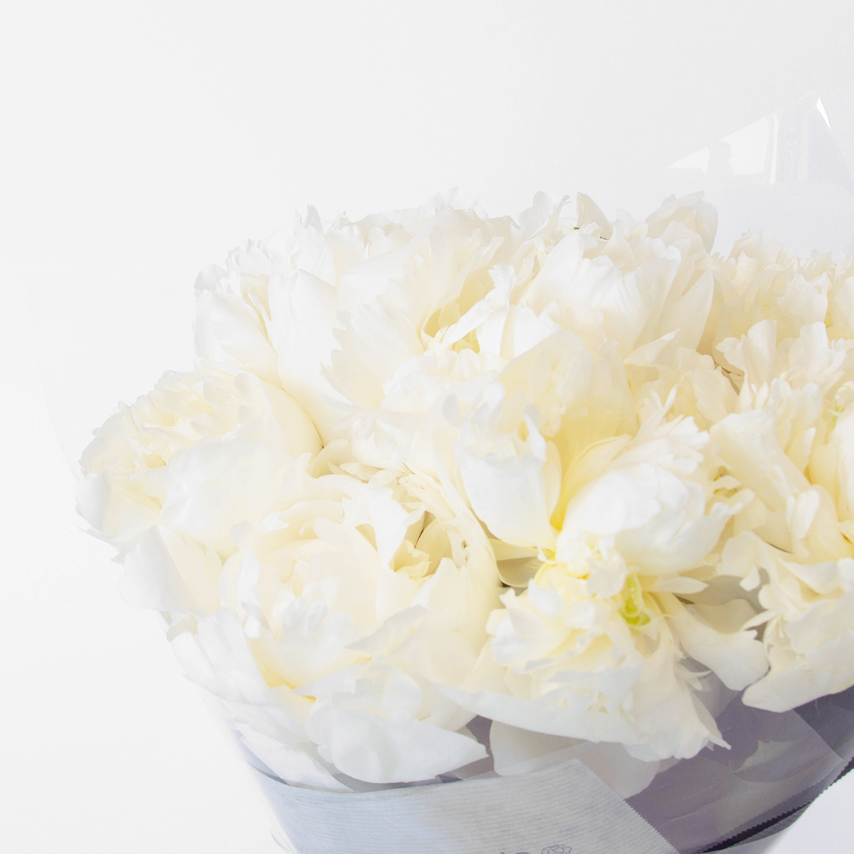 White Peonies original