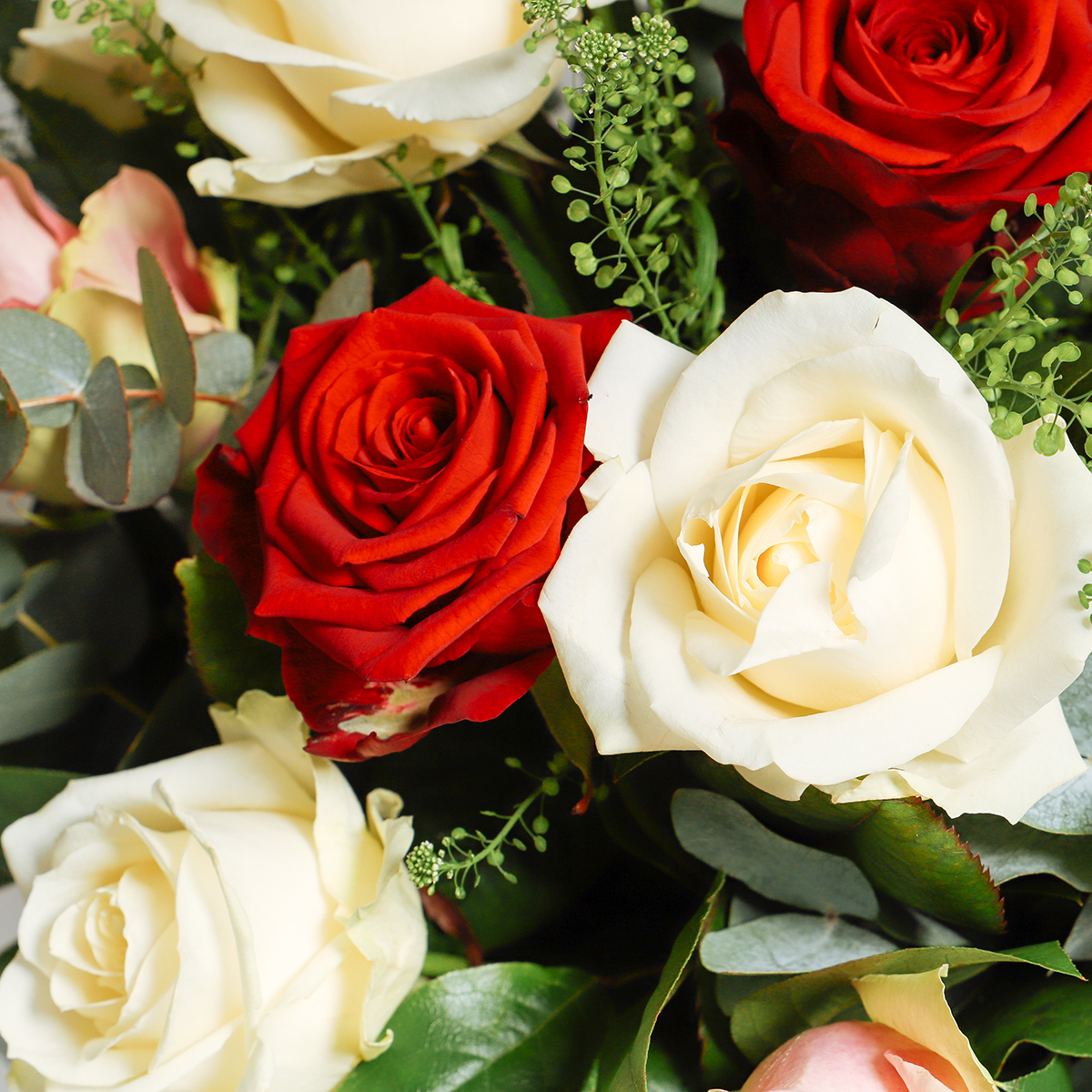 Mixed Roses original