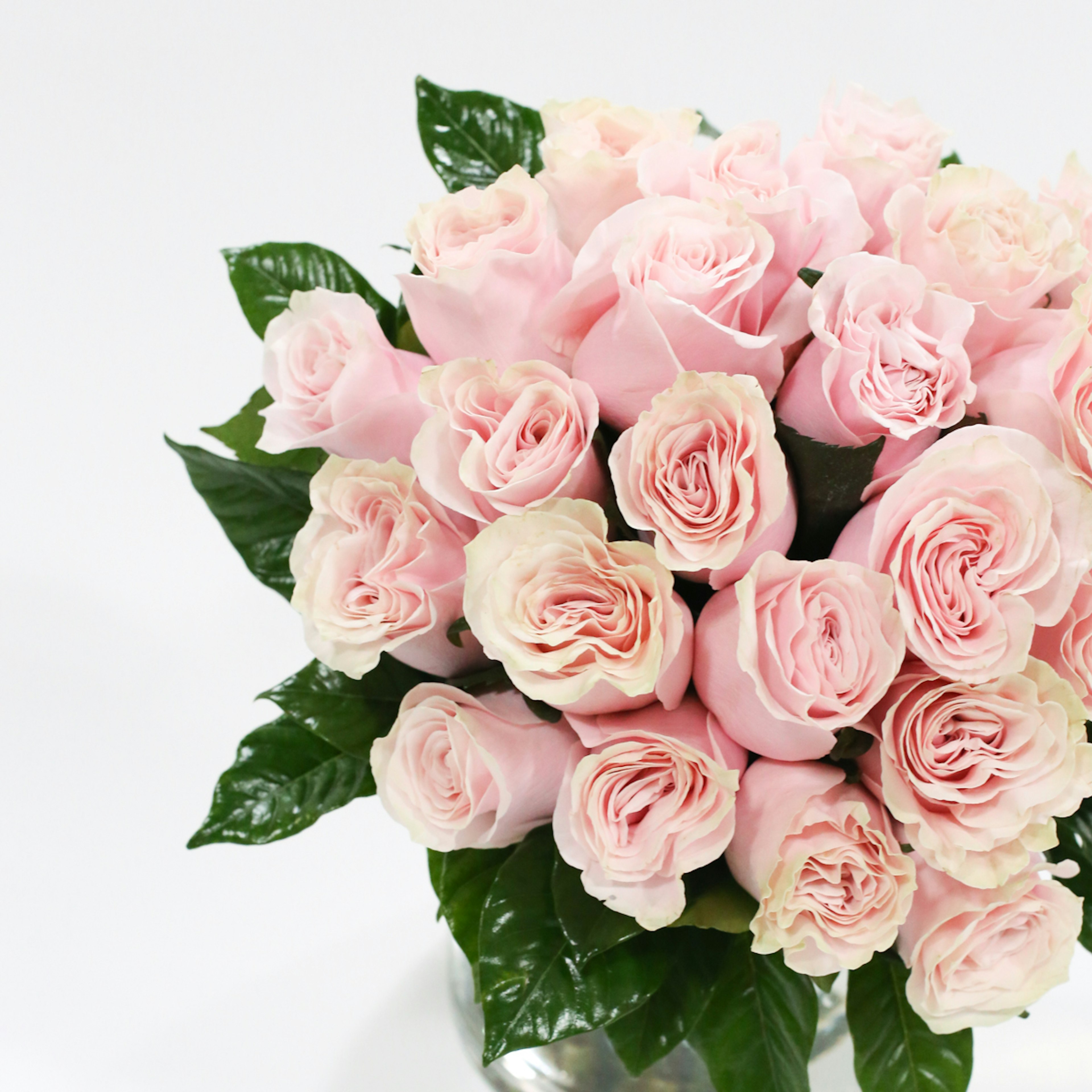 Frosted Pink original