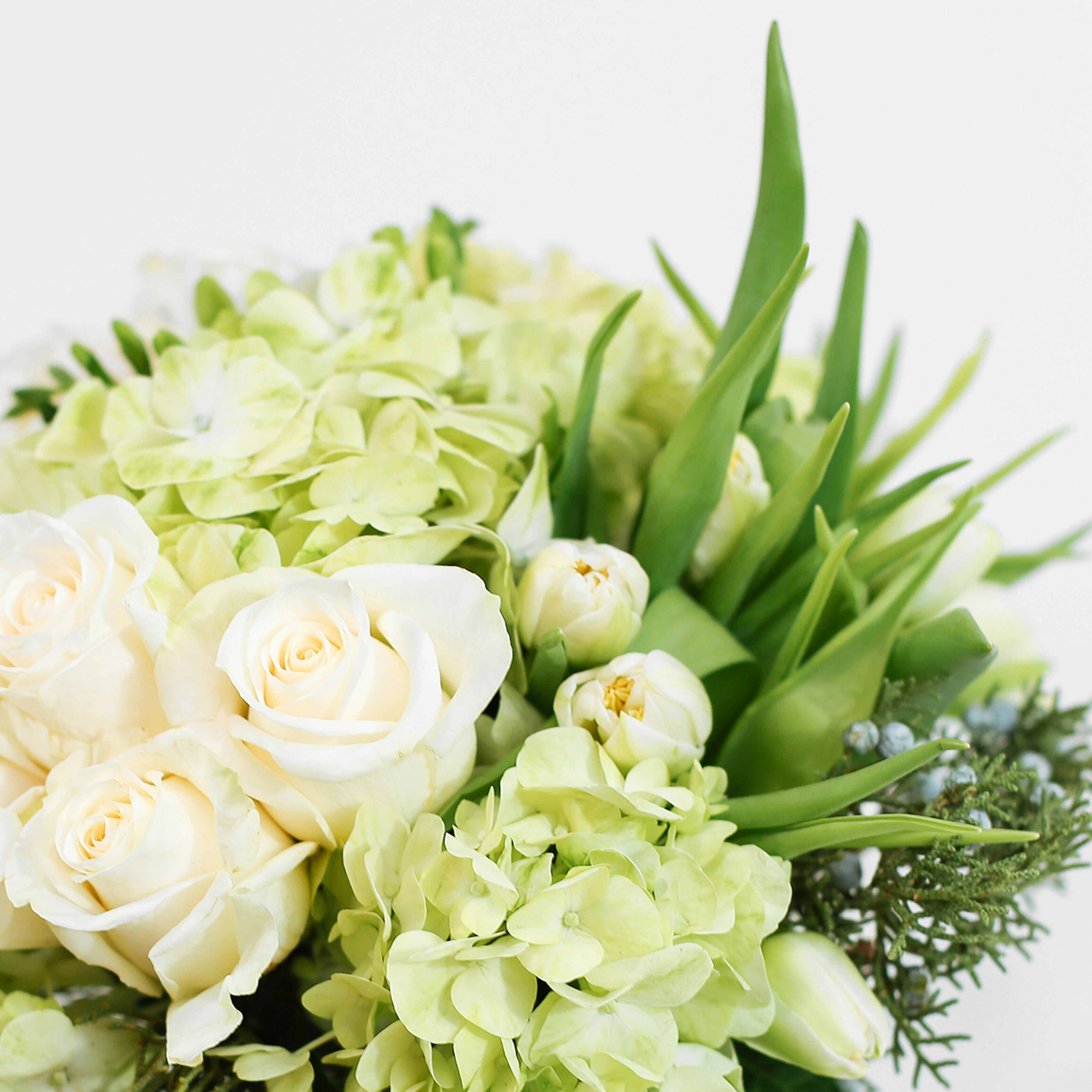 White Splendor original