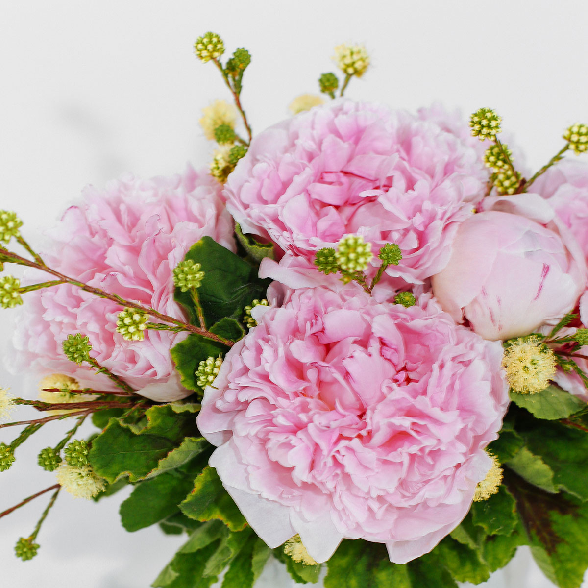 The Pink Pearl original