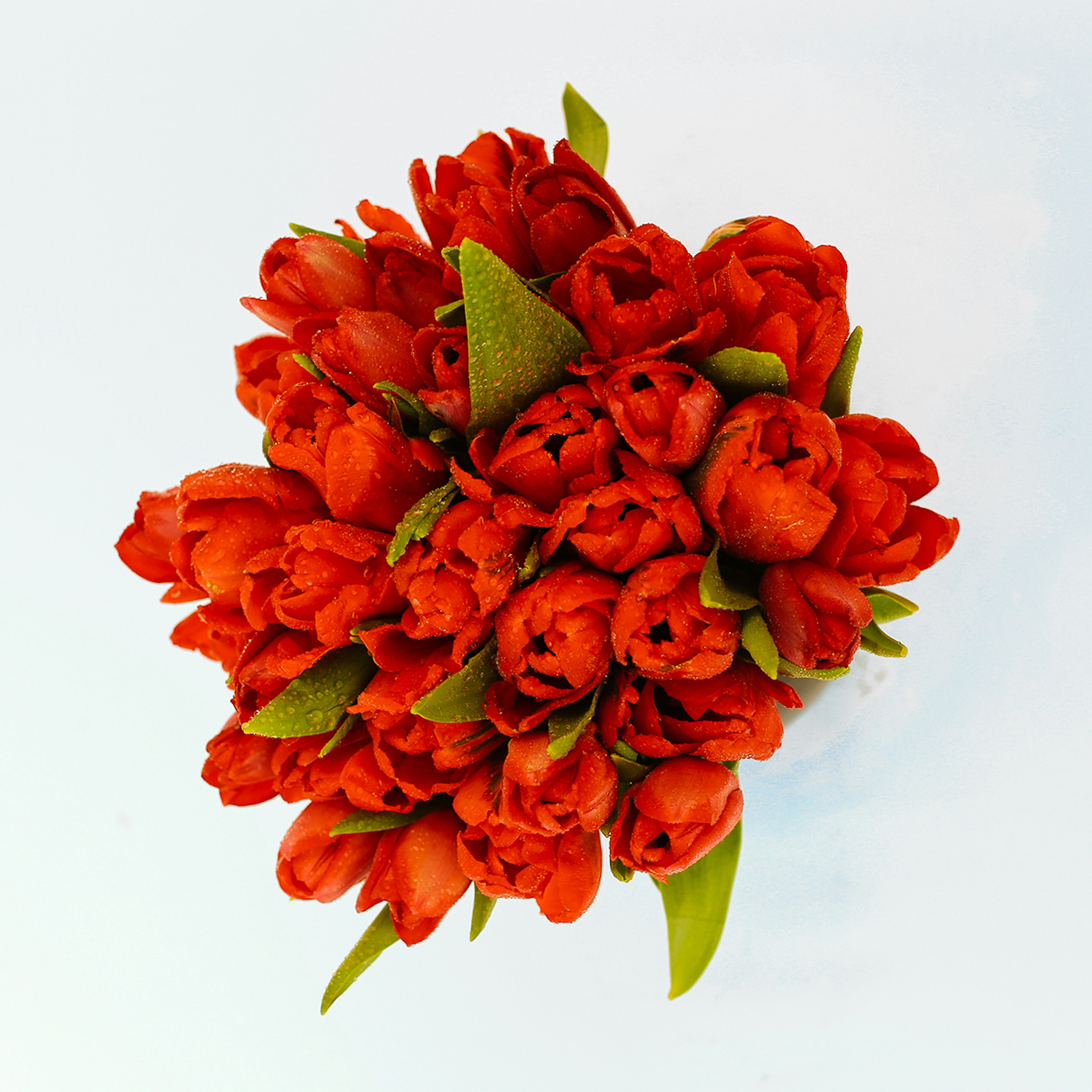 Lips Like Cherry original