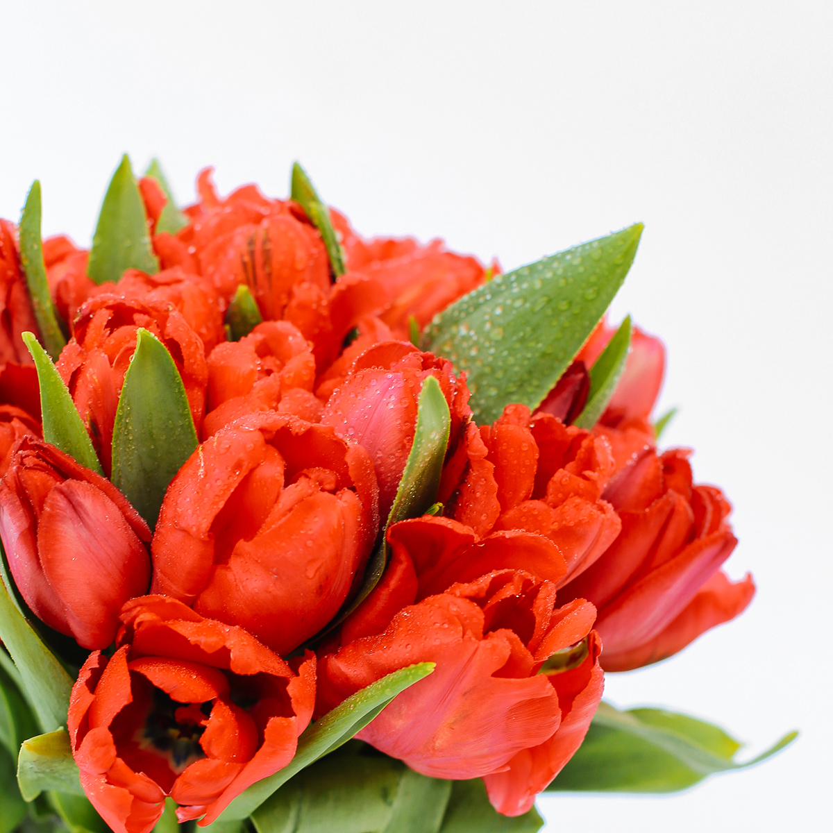 Lips Like Cherry original