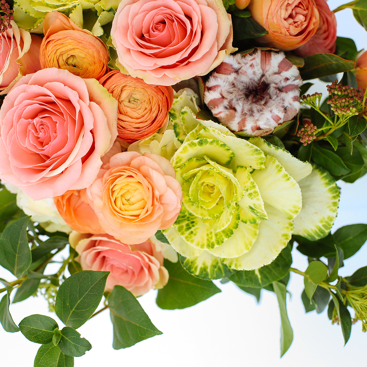 Living Coral Blooms original