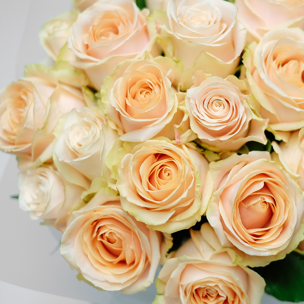 Just Peachy original