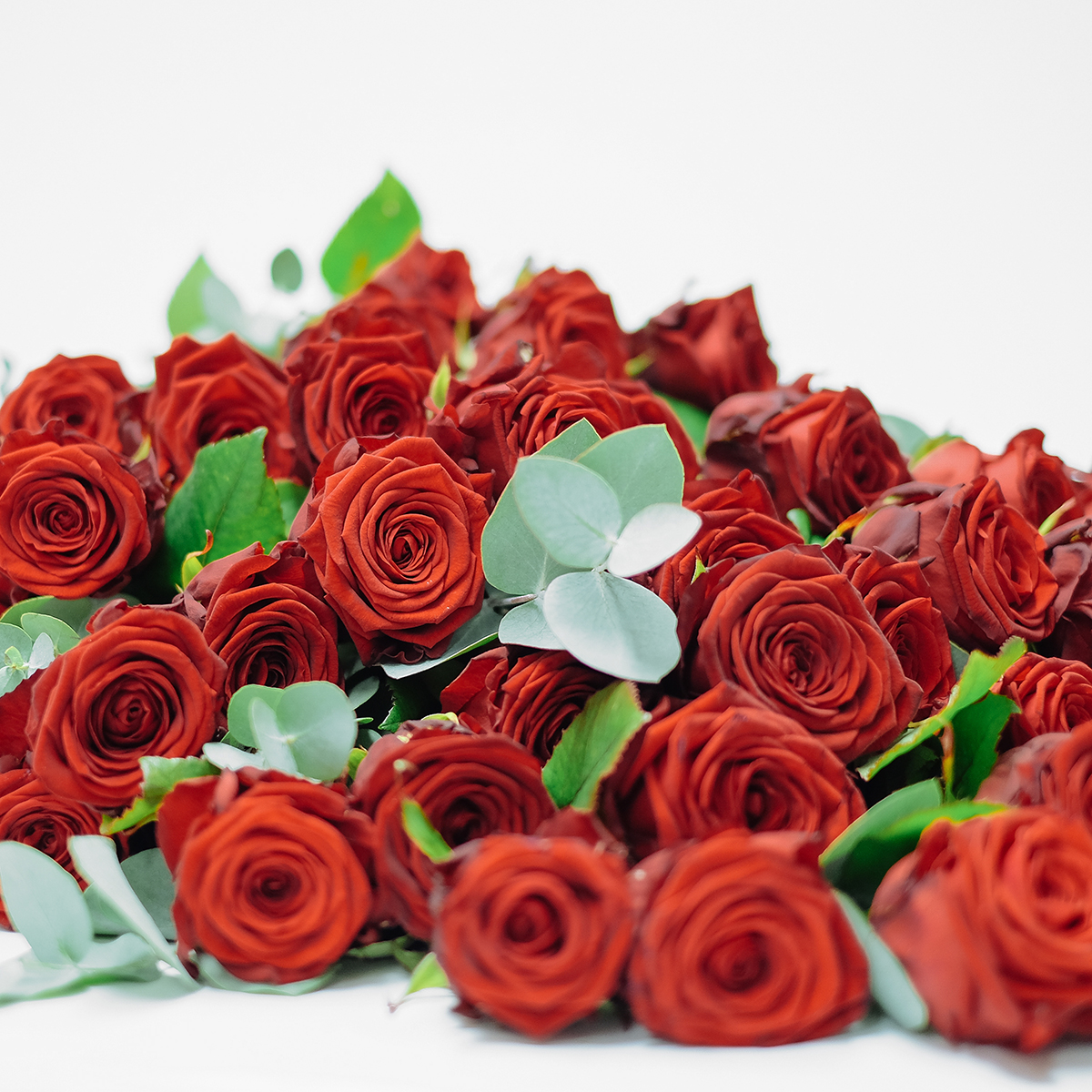 Beauty Queen original