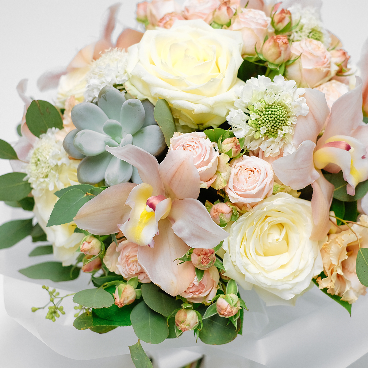 Tickle Me Pink original