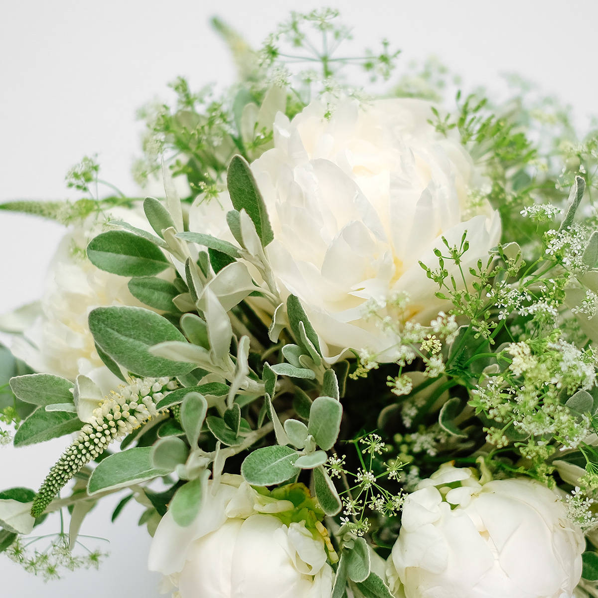 Scented Peony original