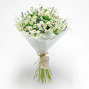 Daisy Bell
