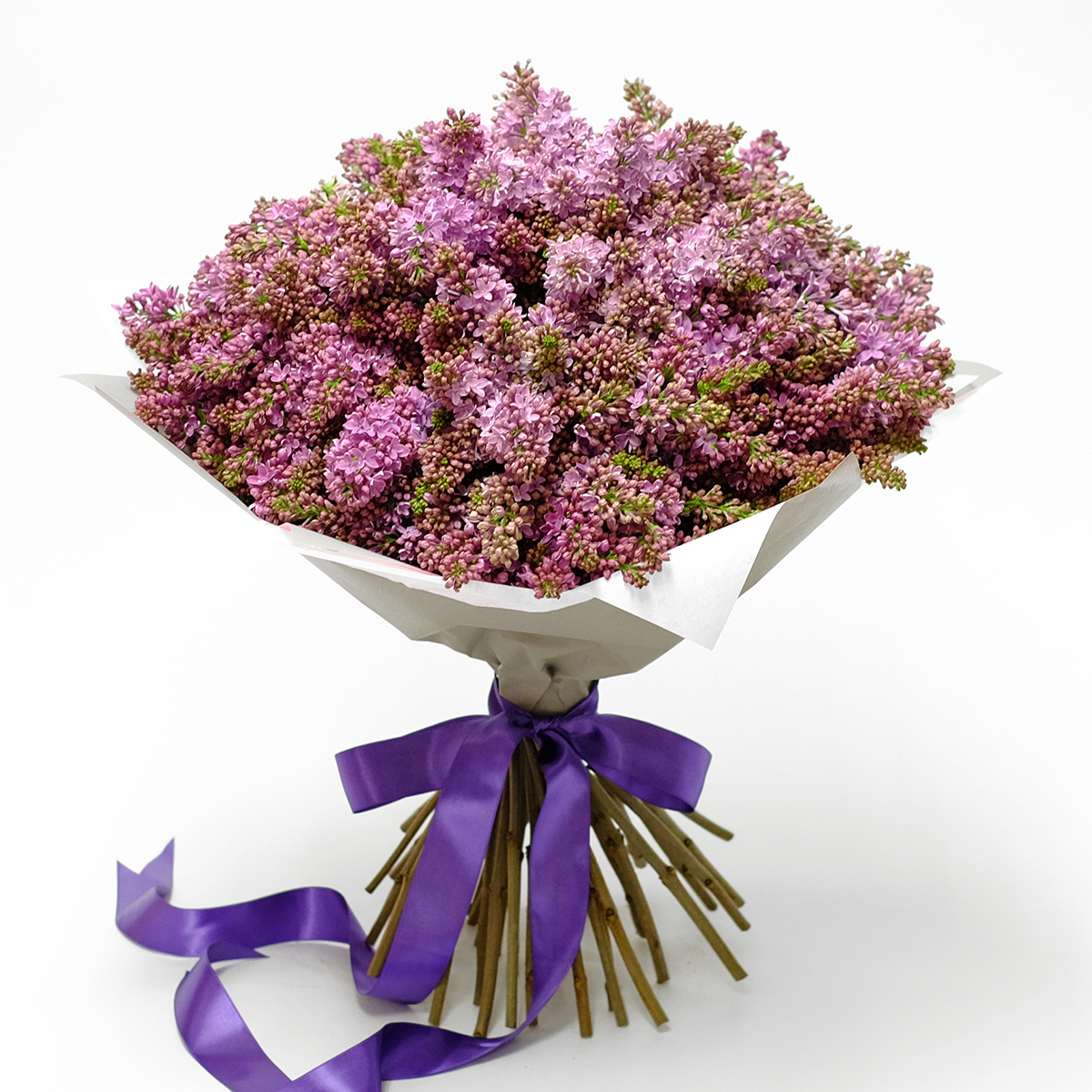 Lilac Dream original