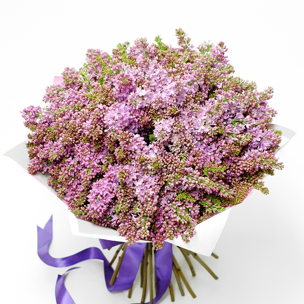 Lilac Dream original