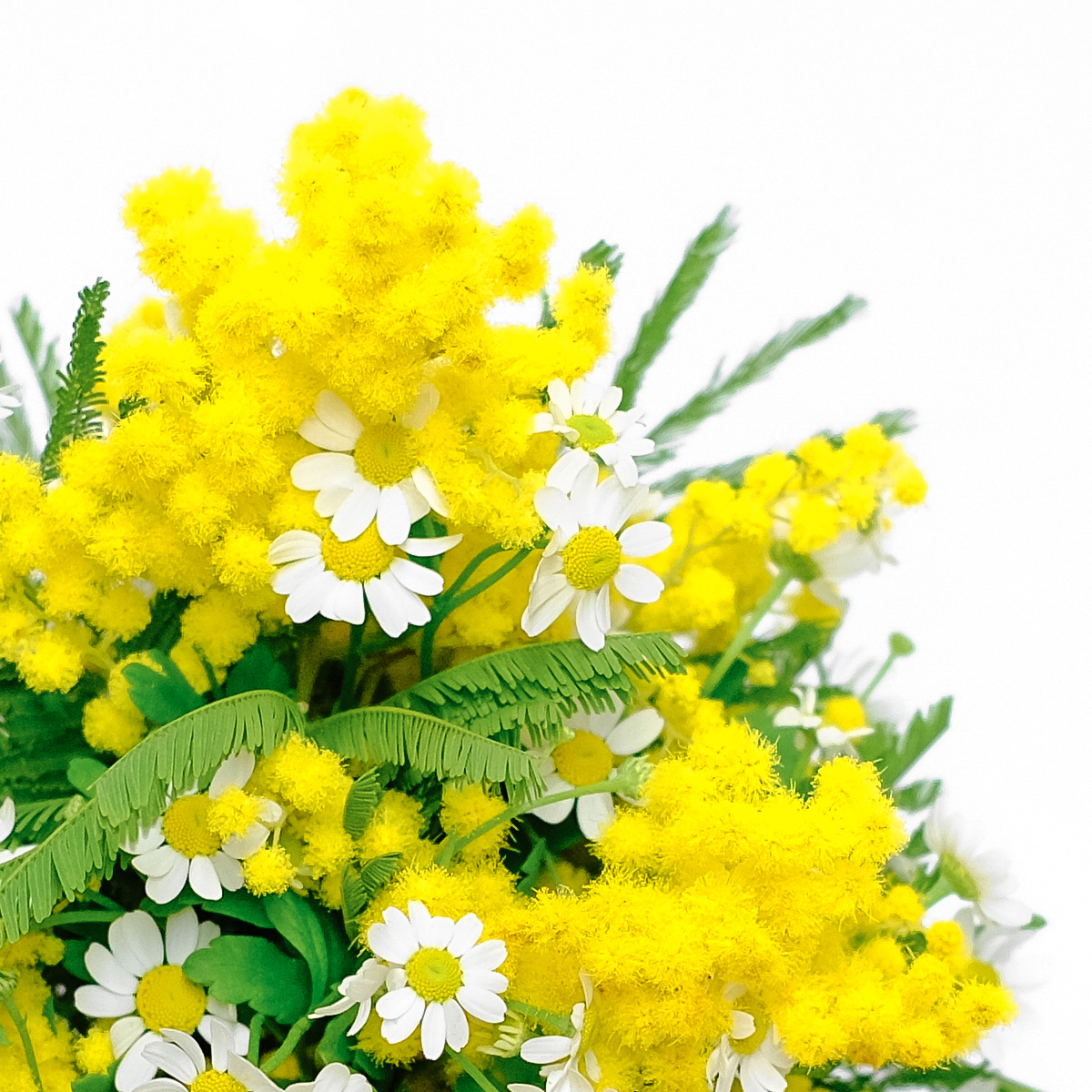 Golden Fizz original