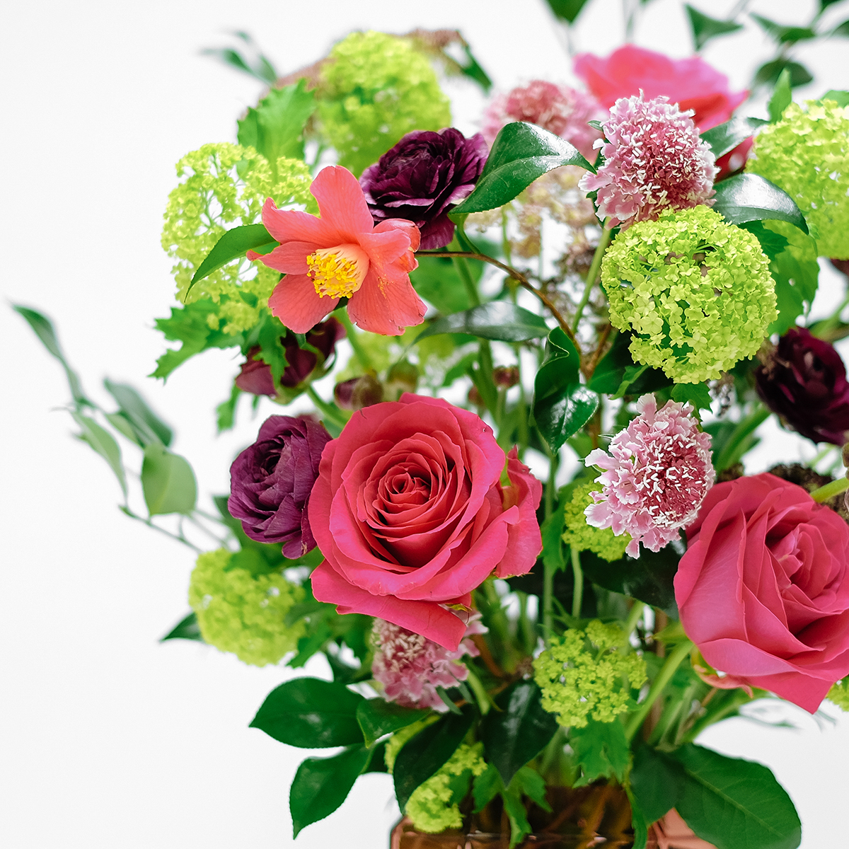 In The Pink original