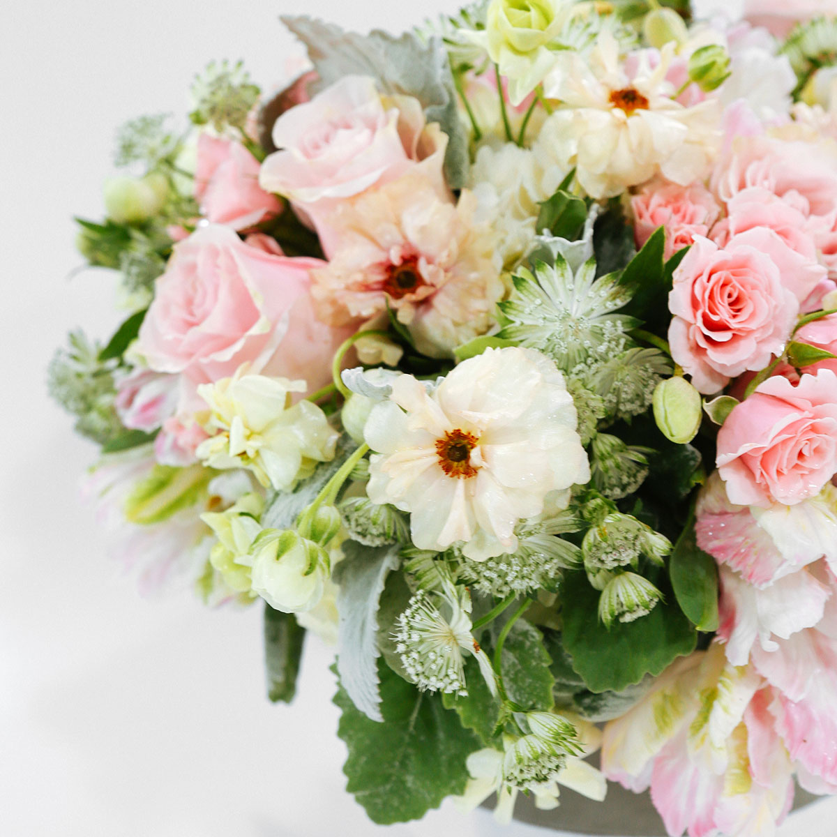 Chiffon Rose (Medium) original