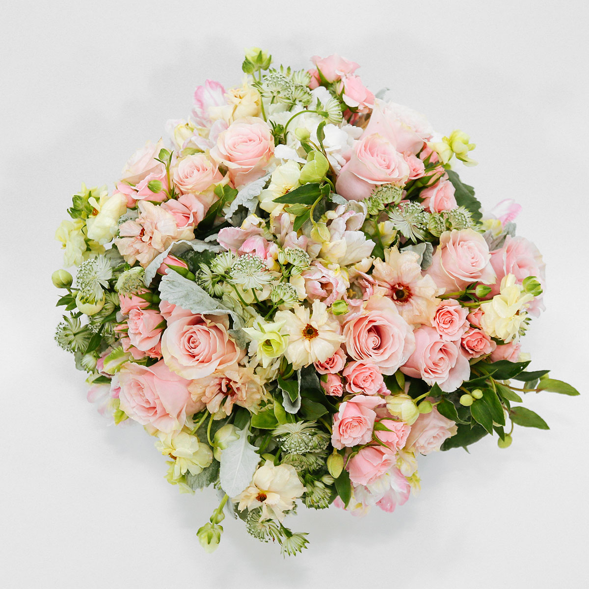 Chiffon Rose (Medium) original