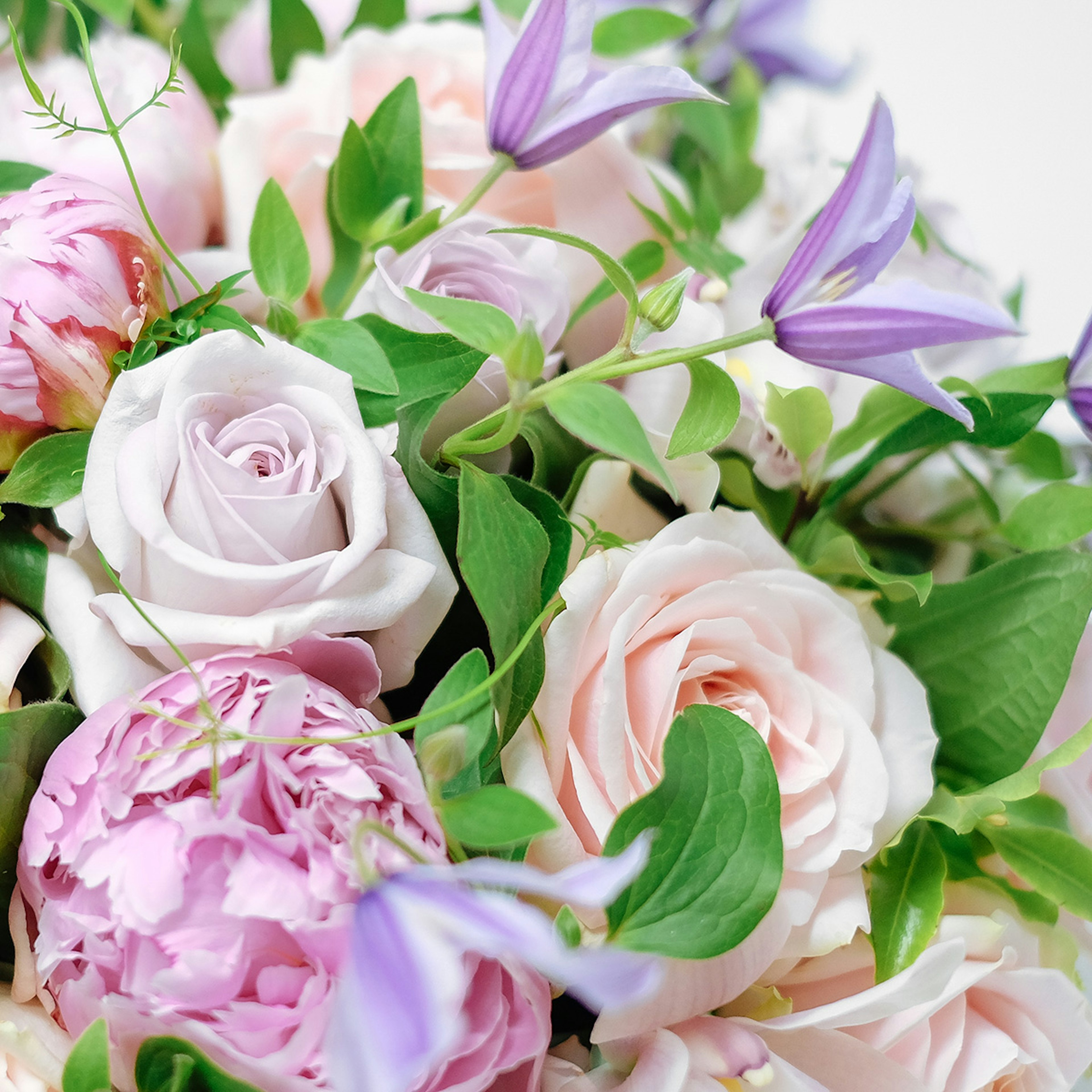 Parma Violet original