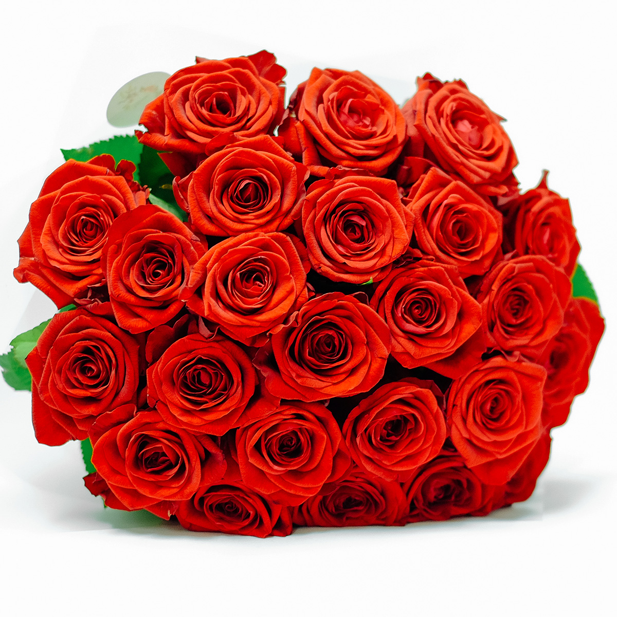 Love Me Tender XL original