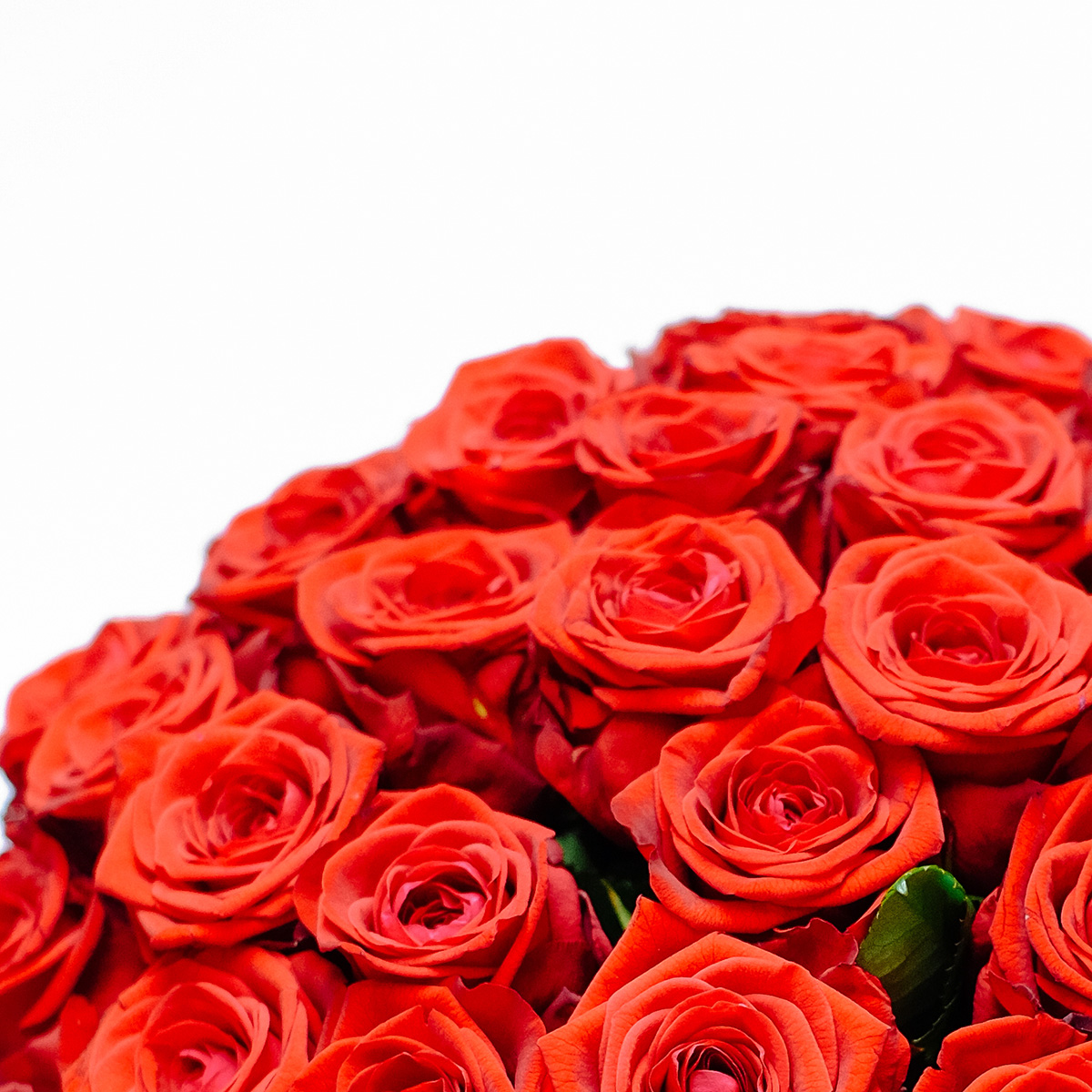 Love Me Tender XL original