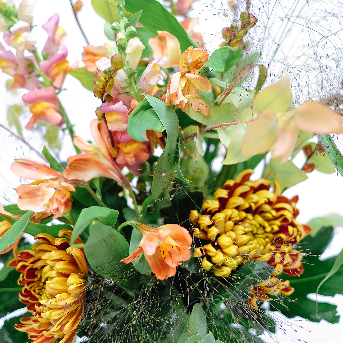 Firecracker original