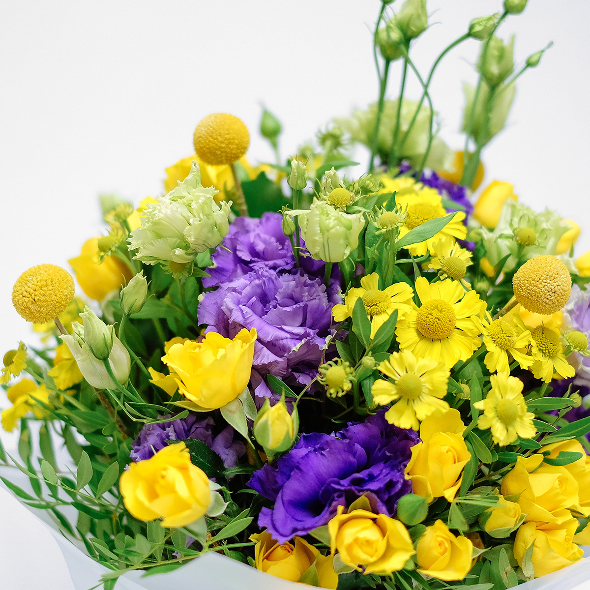 Summer Daze original