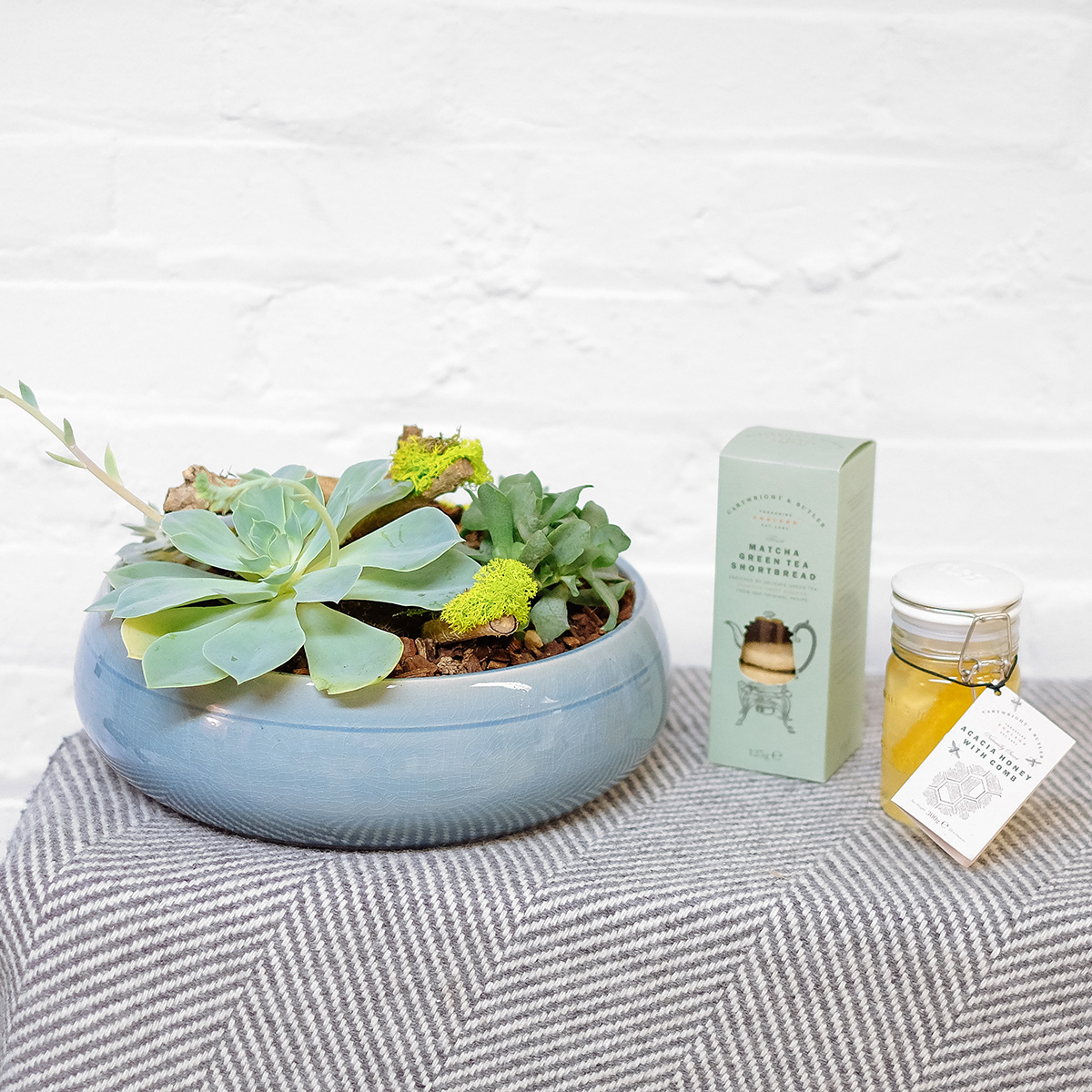 Island Terrarium original