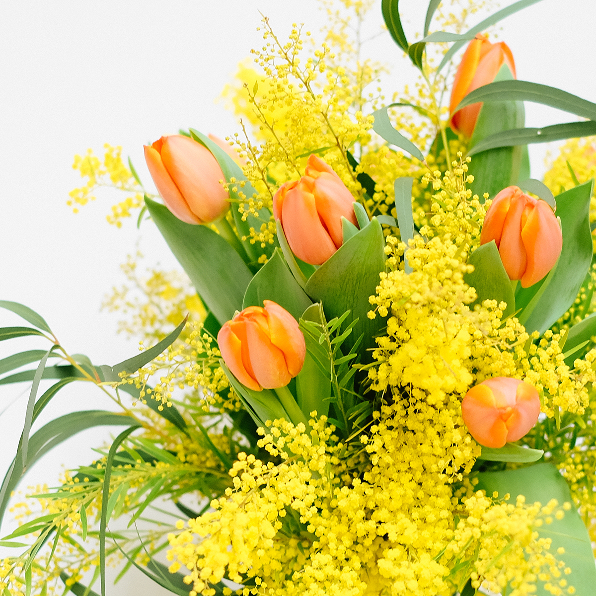 Yellow Bird original