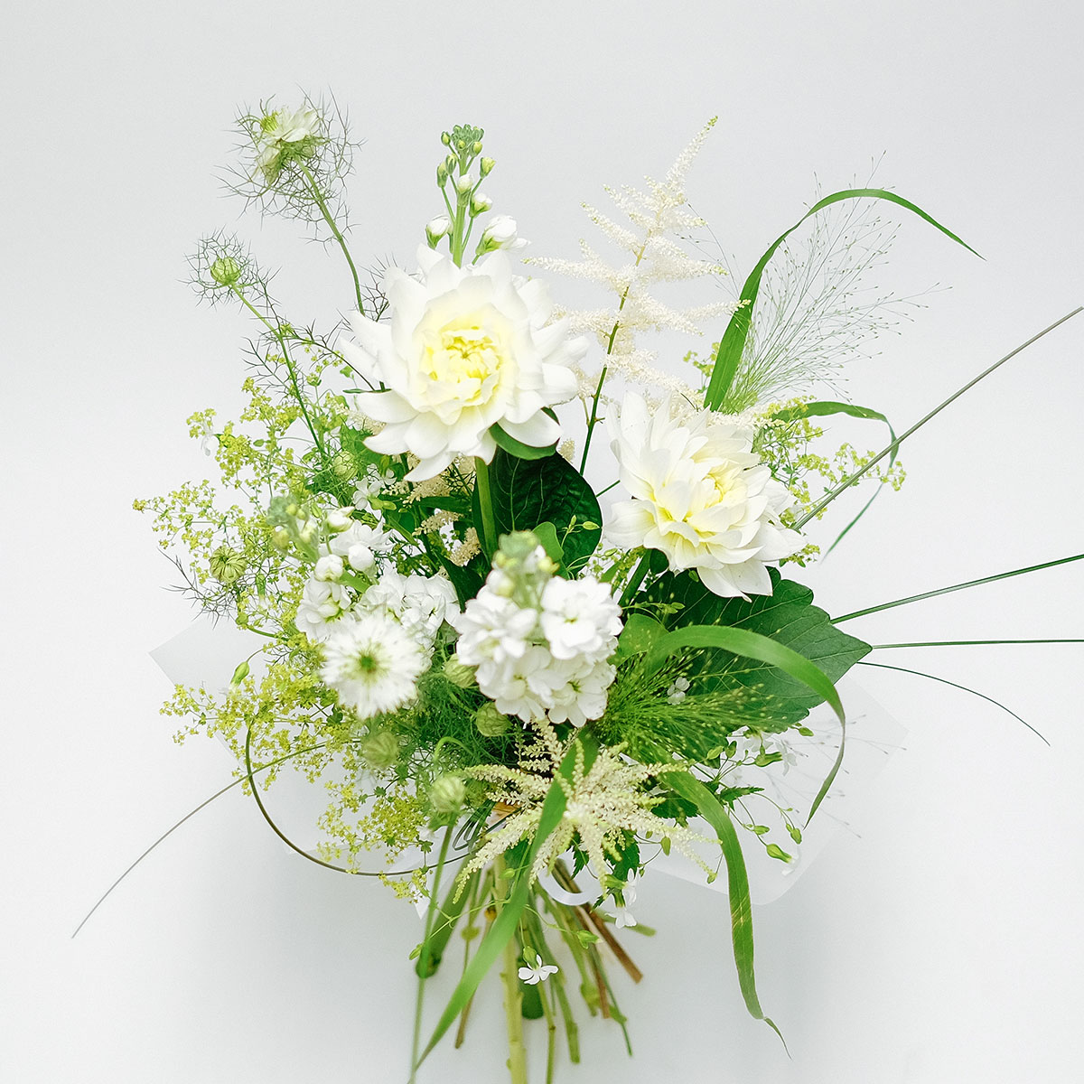 Blanca original by Orchidya — flowers available for delivery from Floom