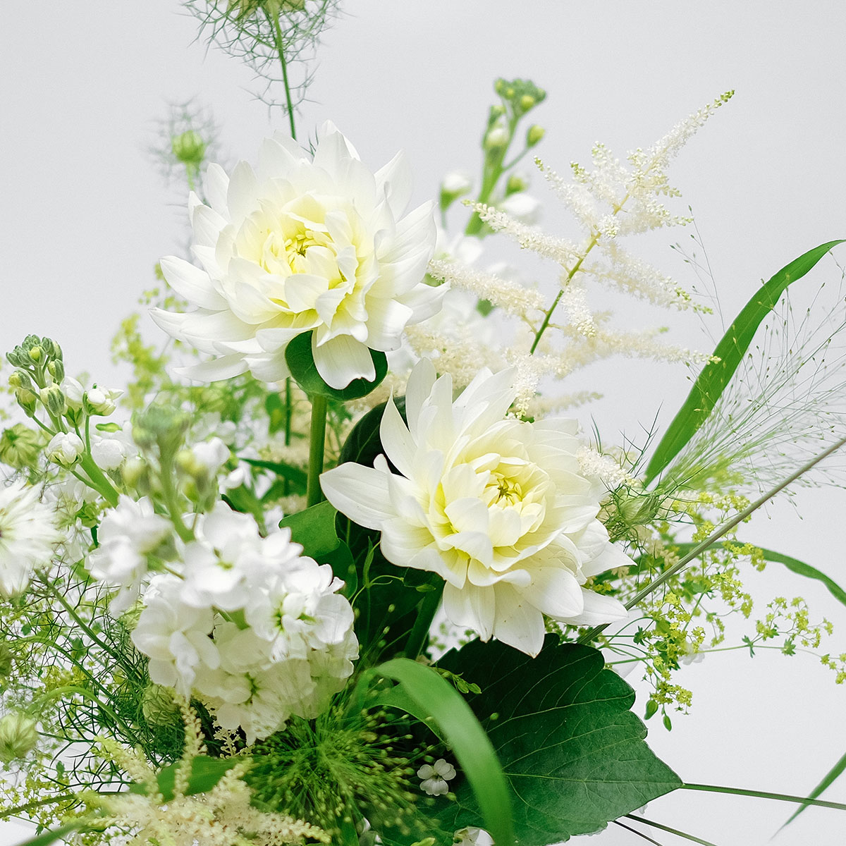 Blanca original by Orchidya — flowers available for delivery from Floom