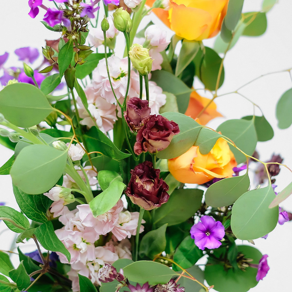 Candi Crush original