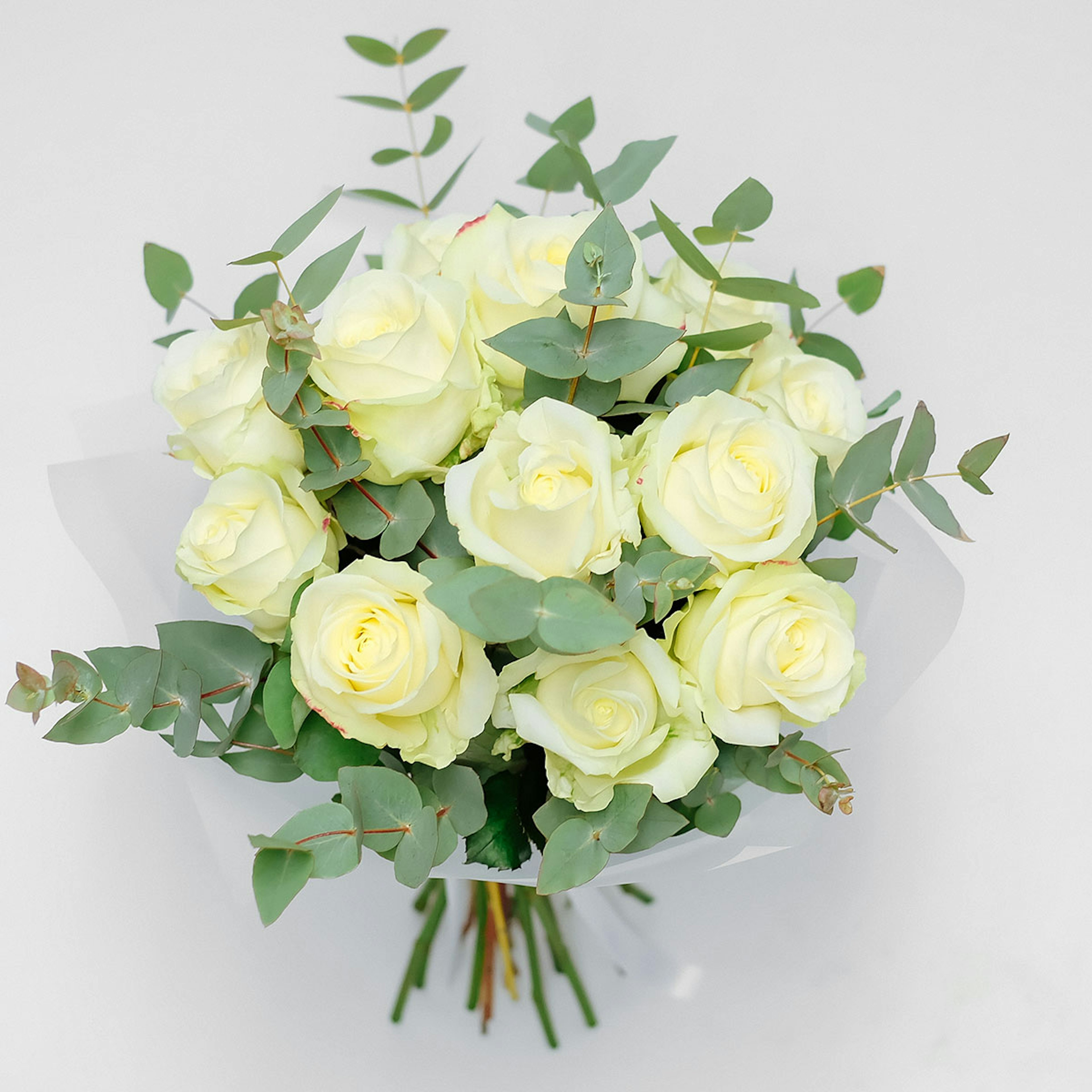 Rhapsody in White original