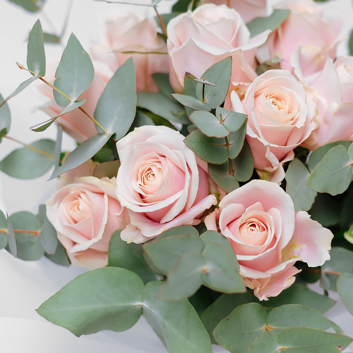 Rhapsody in Pink original