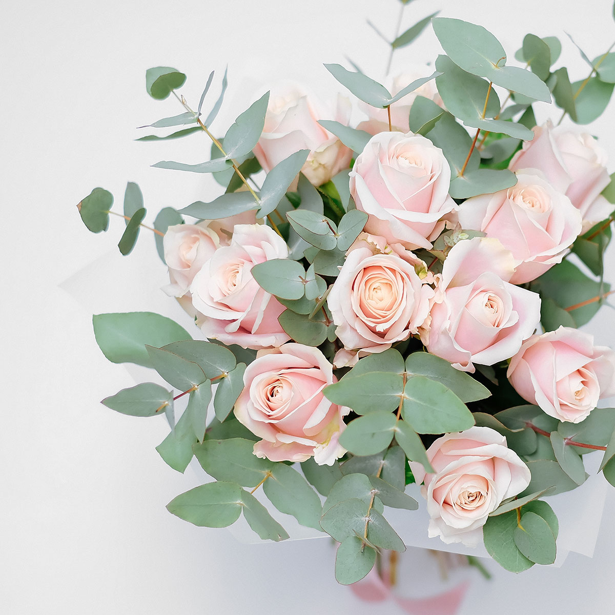 Rhapsody in Pink original